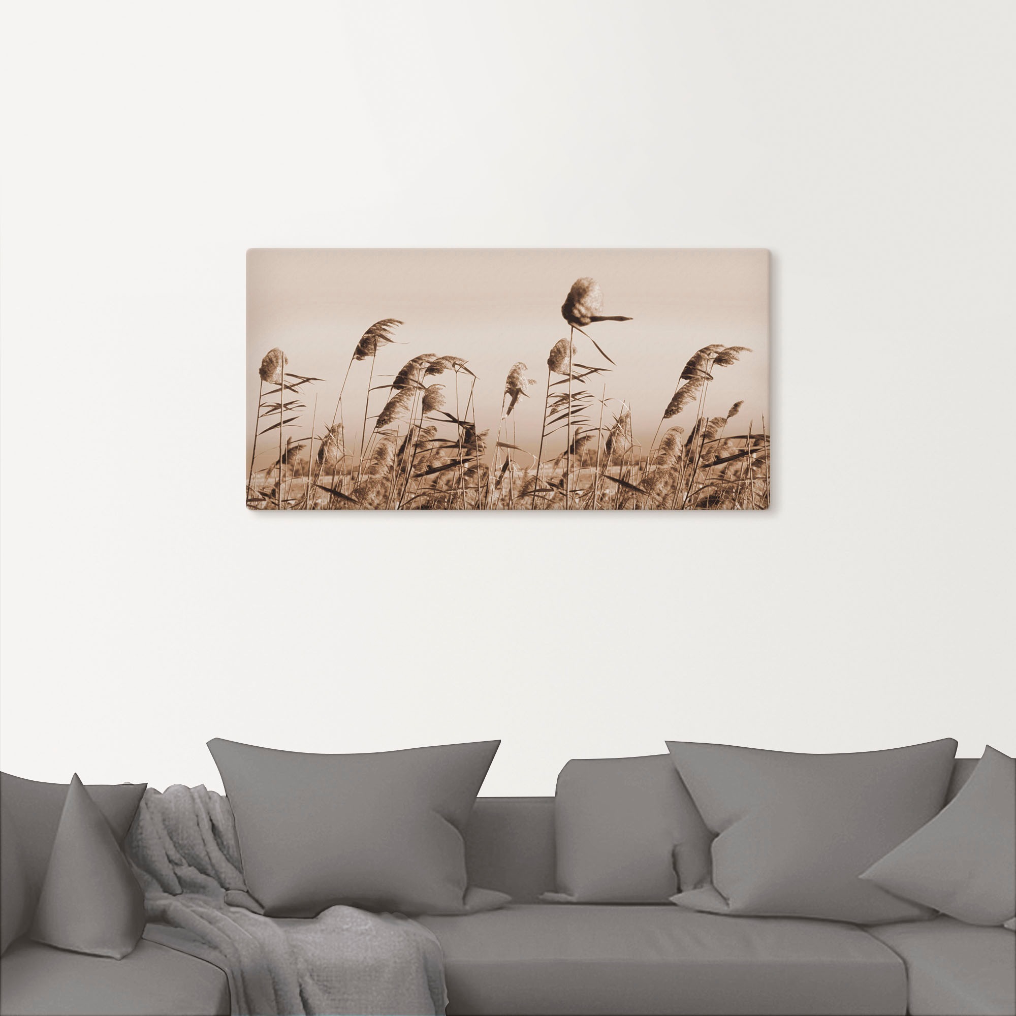 Artland Wandbild »Gräser« Gräser 1 Stk. tlg. als Alubild, Outdoorbild, Lein günstig online kaufen