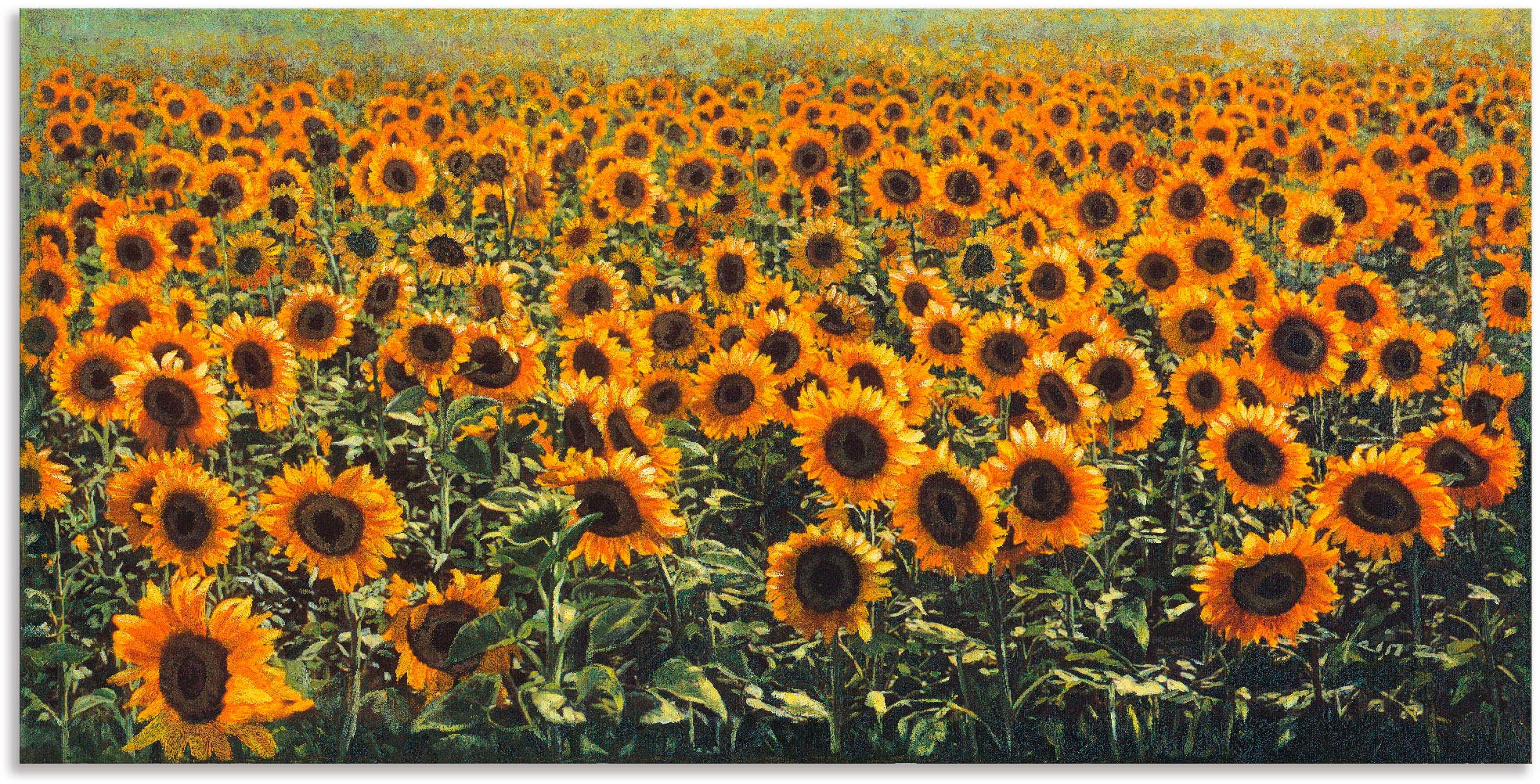 Artland Wandbild »Sonnenblumenfeld«, Blumenwiese, (1 St.), als Alubild, Out günstig online kaufen