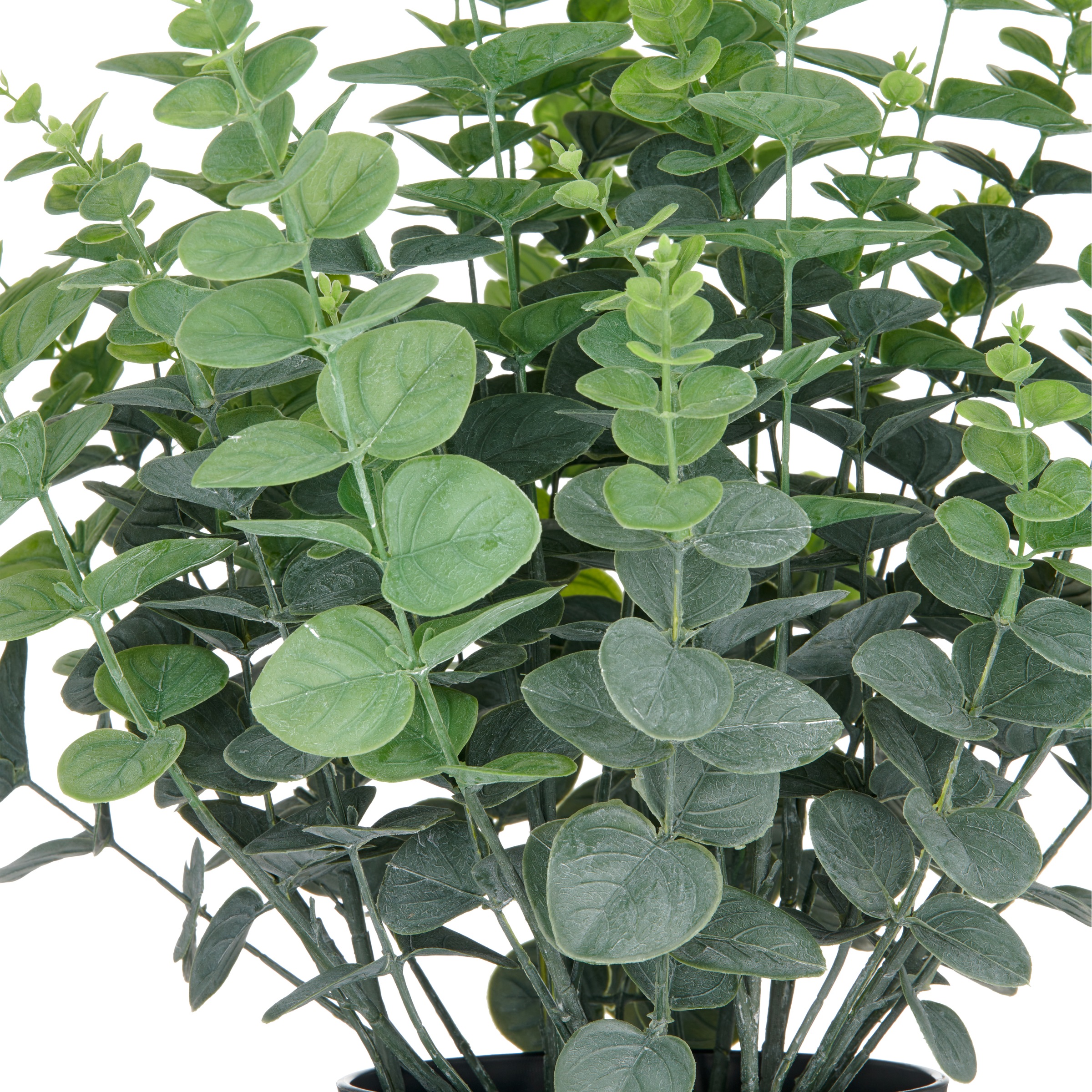 Creativ green Kunstpflanze »Eukalyptus gunnii« in UV-beständiger Ausführung günstig online kaufen