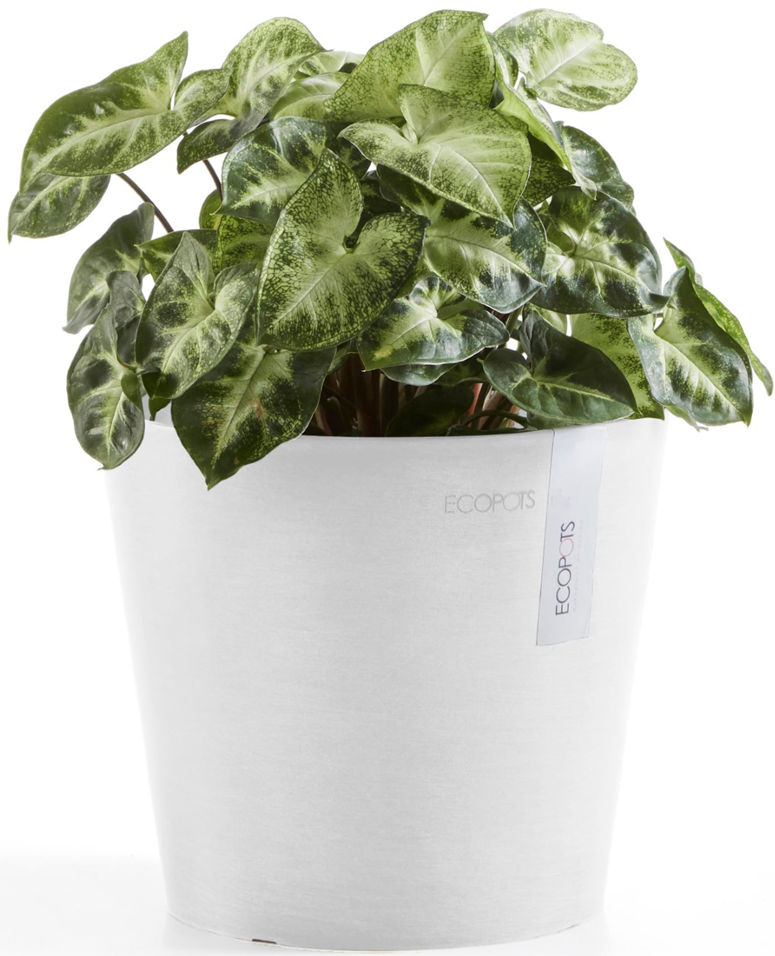 ECOPOTS Blumentopf »Amsterdam Mini 17 Weiß«, für den Innenbereich