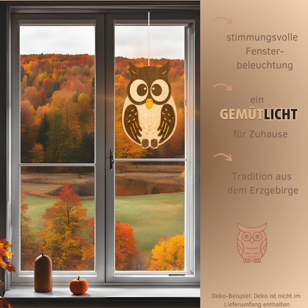 Weigla Beleuchtetes Fensterbild »Eule, Fensterdekoration aus Holz, NATUR-BRAUN«, Erzgebirge garantiert, Herbstdeko Innen Holz, Fensterbeleuchtung