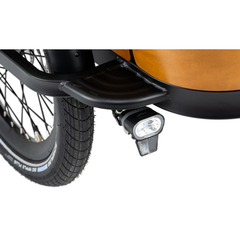 Adore E-Bike »Curved«, 7 Gang, Shimano, Nexus, Mittelmotor 250 W