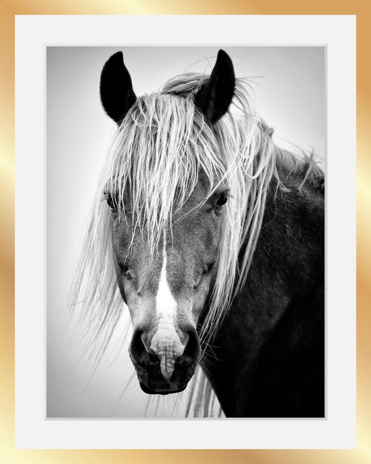 queence Bild »Pferdekopf«, Schwarz-Weiß-Tiere-Pferde-Pferdebilder-Gesicht, HD Premium Poster-Druck inkl. Holzrahmen in schwarz