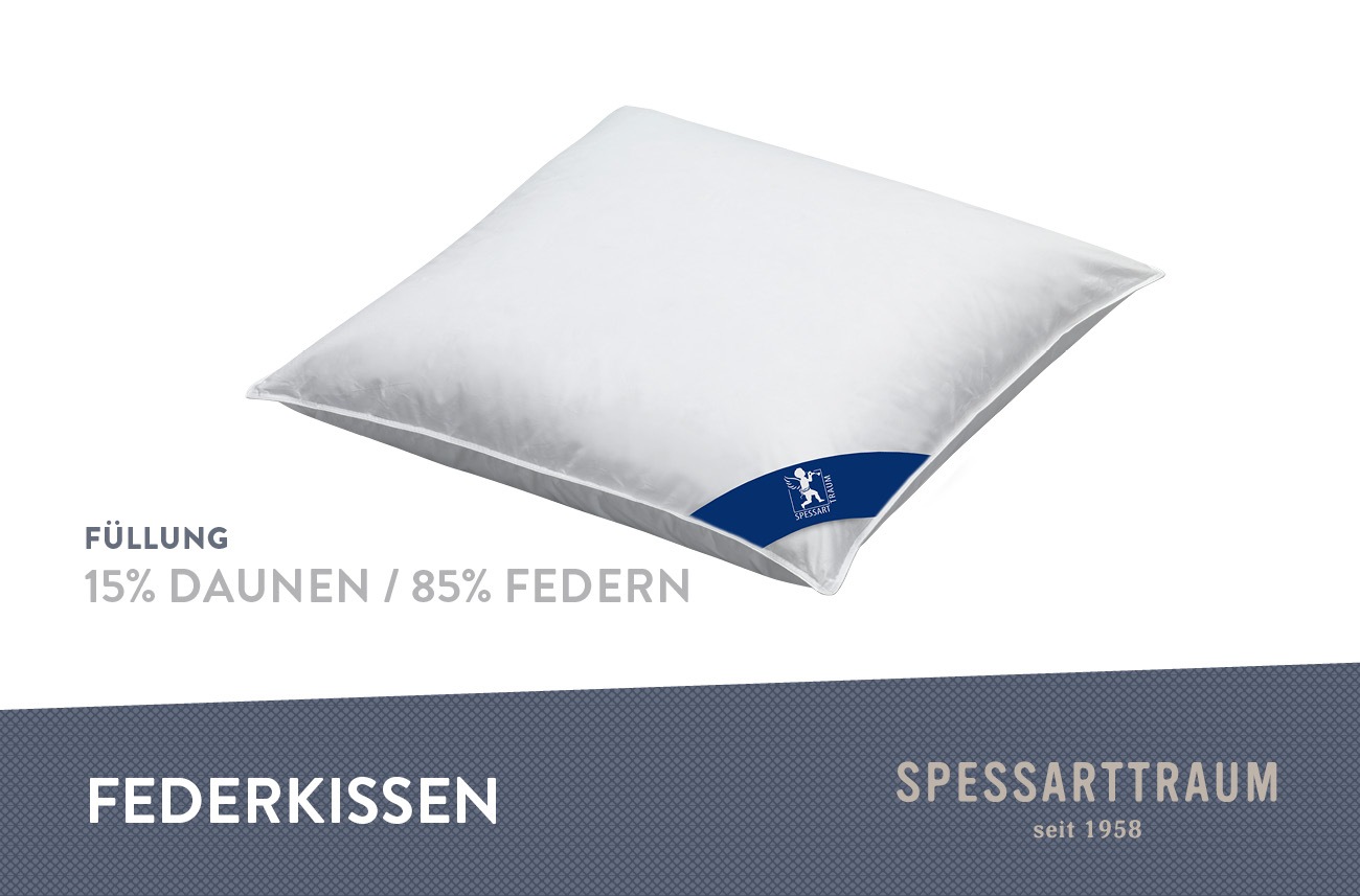 SPESSARTTRAUM Federkissen »FIRST CLASS«, Füllung: 85% Federn, 15% Daunen, ( günstig online kaufen
