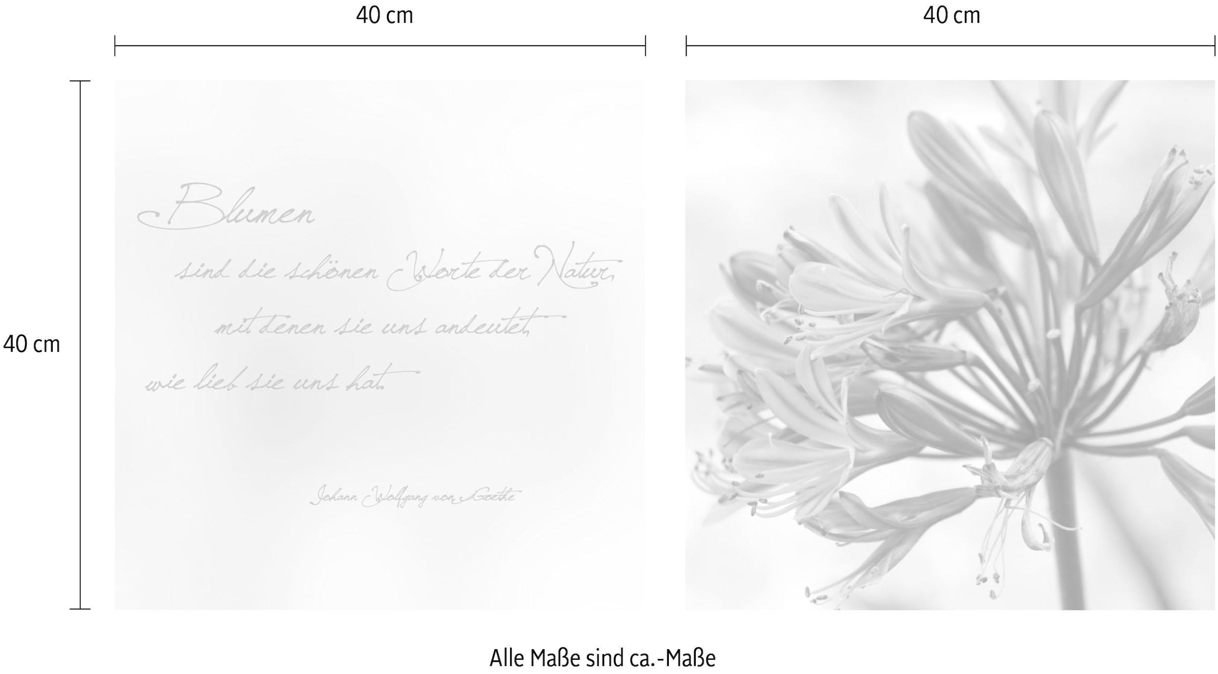 queence Leinwandbild »Worte der Natur«, Blätter-Blätterbilder-Kunst-Modern-Spa-Spa Bilder-Sprüche-Sprüche & Texte-Schriftzug-Schriftzüge, (Set), Premium-Leinwandstoff, Handarbeit aus Deutschland, Zitat, 2er Set