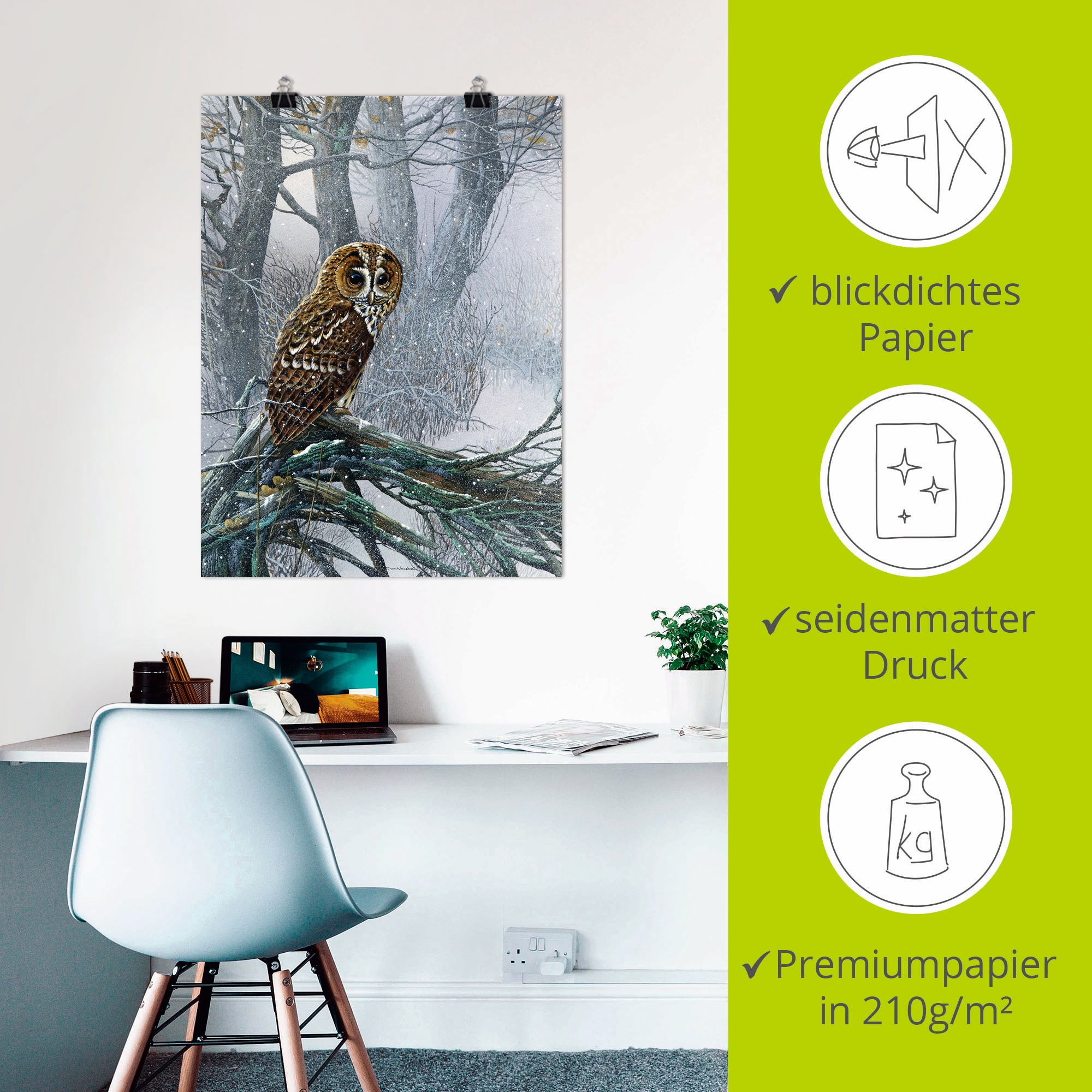 Artland Wandbild »Eule in verschneitem Wald«, Vögel, (1 St.), als Leinwandbild, Poster in verschied. Größen