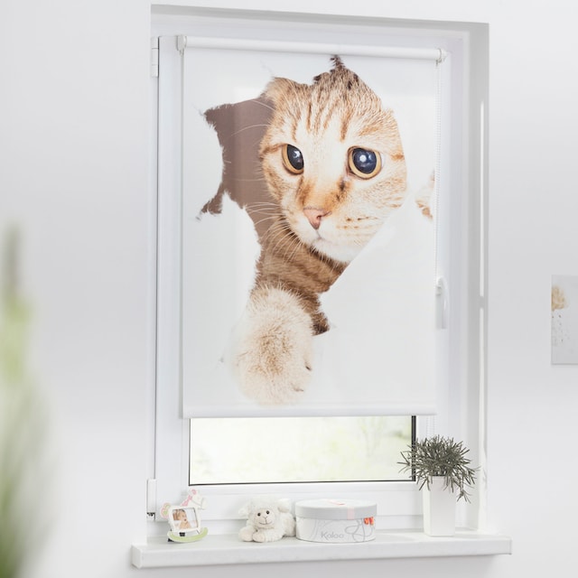 LICHTBLICK ORIGINAL Seitenzugrollo »Klemmfix Digital Katze«, verdunkelnd,  energiesparend, ohne Bohren, freihängend, bedruckt bequem und schnell  bestellen