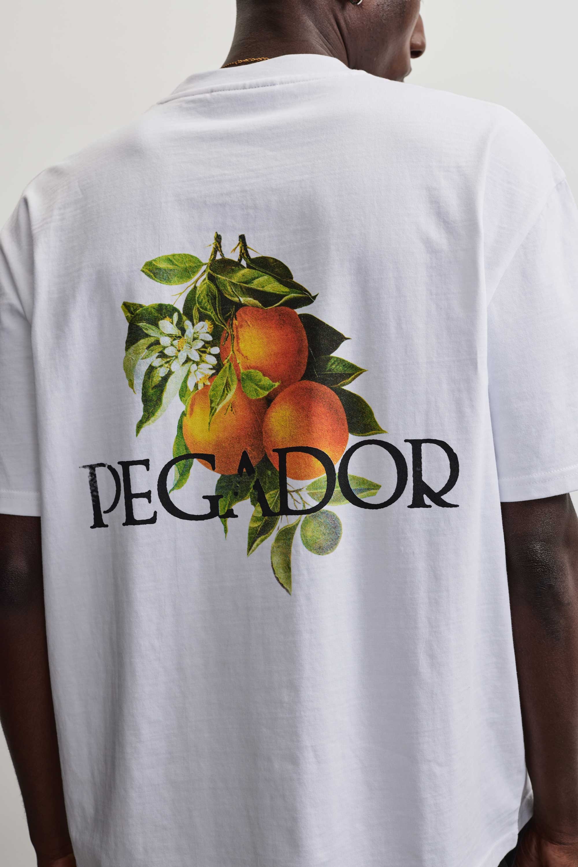 PEGADOR Rundhalsshirt »VIBORG OVERSIZED TEE«
