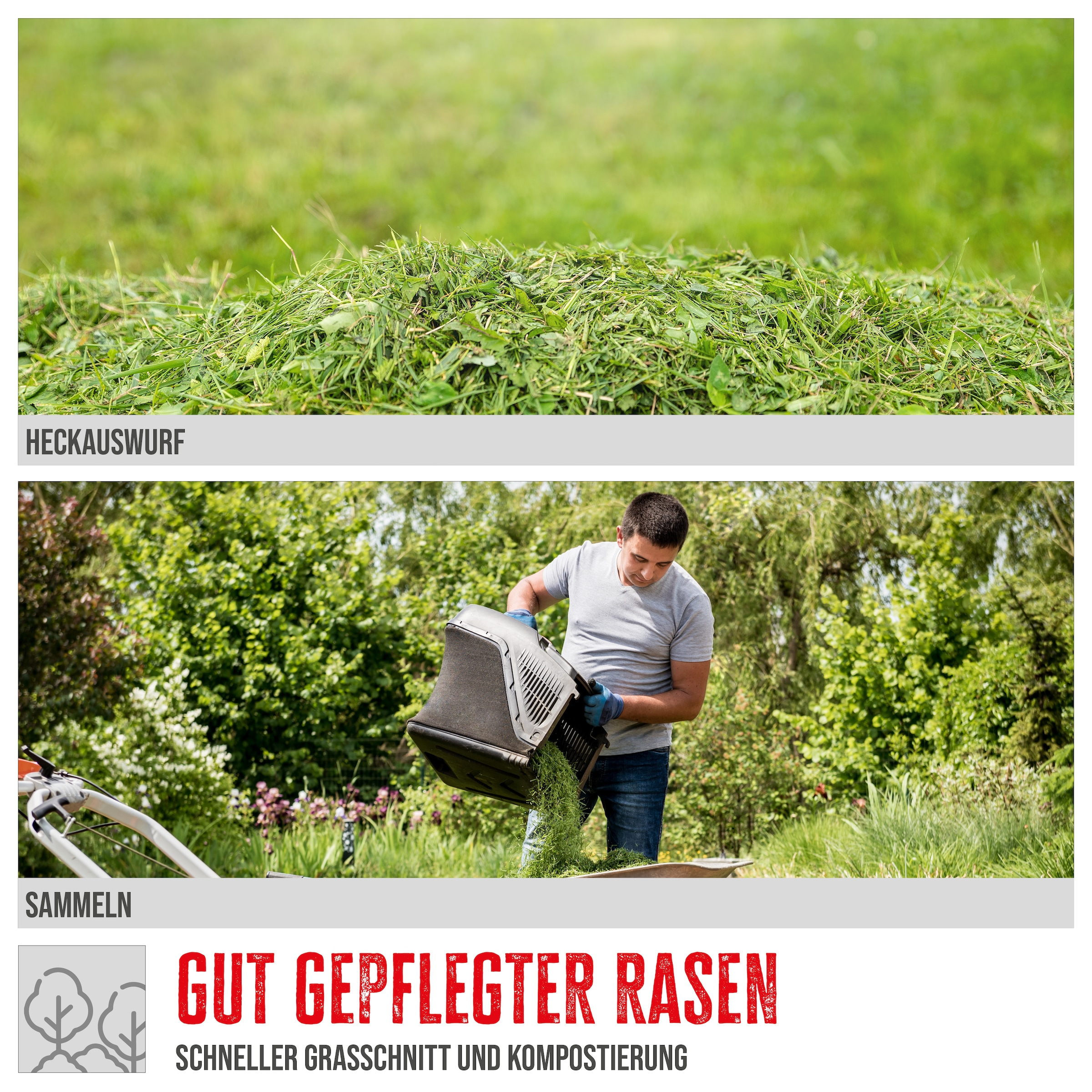 Güde Benzinrasenmäher »»ECO Wheeler 390 1,6 R««, für Rasenflächen bis 900m²