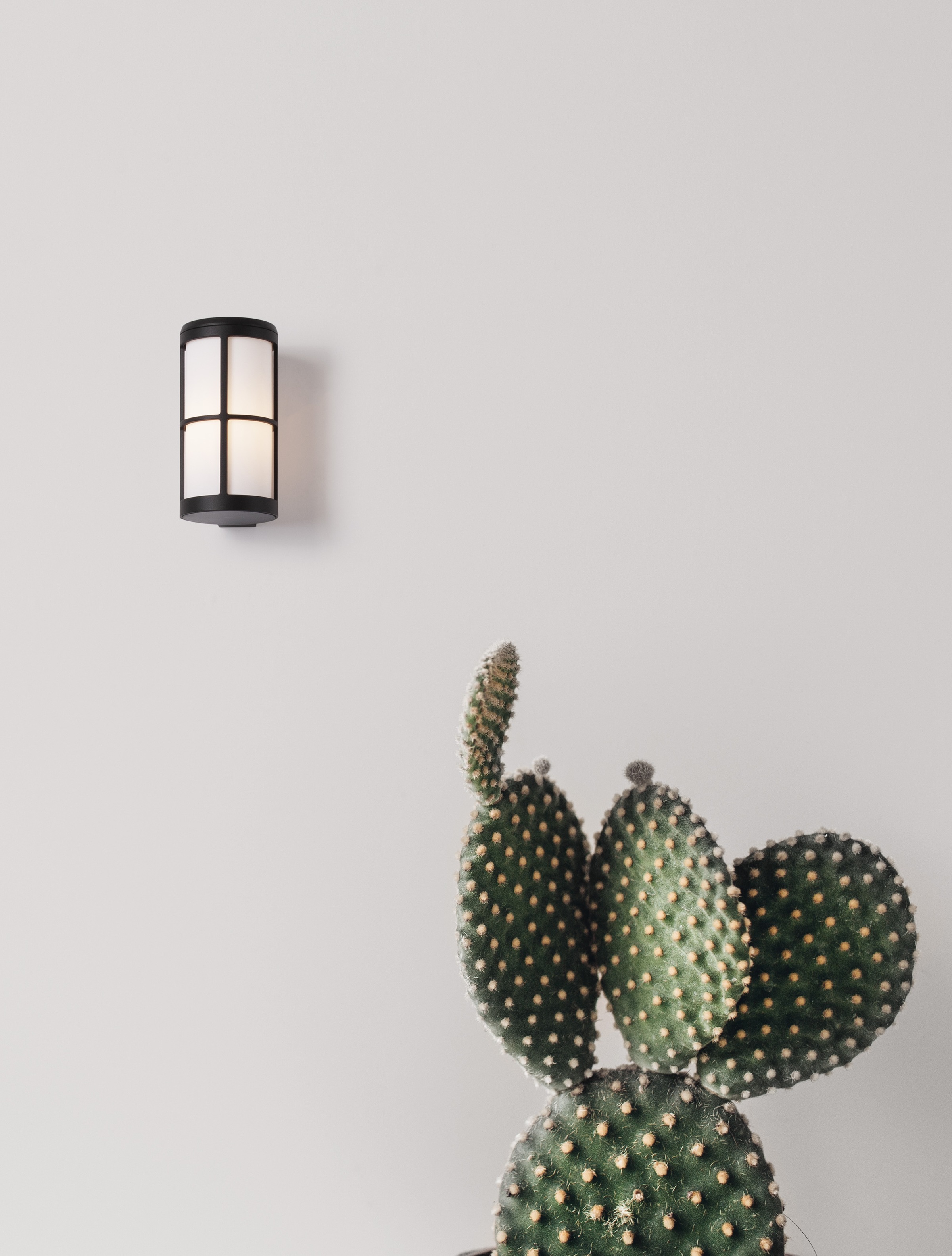 Nova Luce Außen-Wandleuchte »STONE« günstig online kaufen