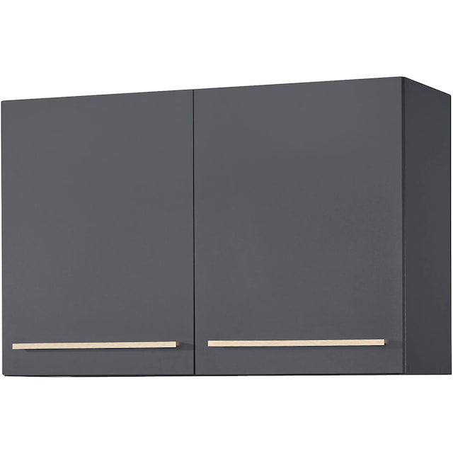 BASIC by Balculina Hängeschrank »Bilberry«, Breite 100 cm online bestellen