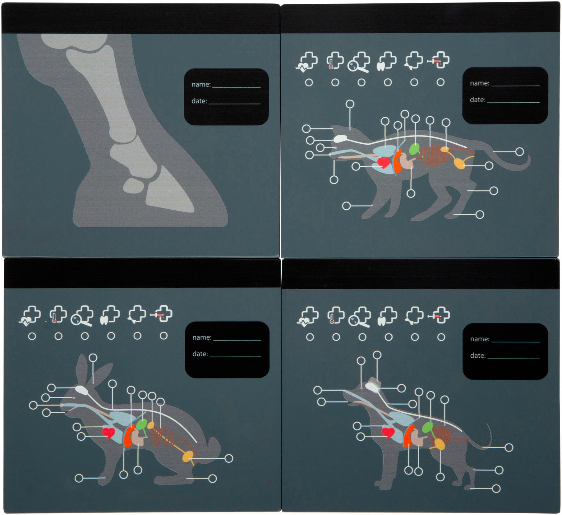 Small Foot Spielzeug-Arztkoffer »Tierarzt-Tasche mit Hase«