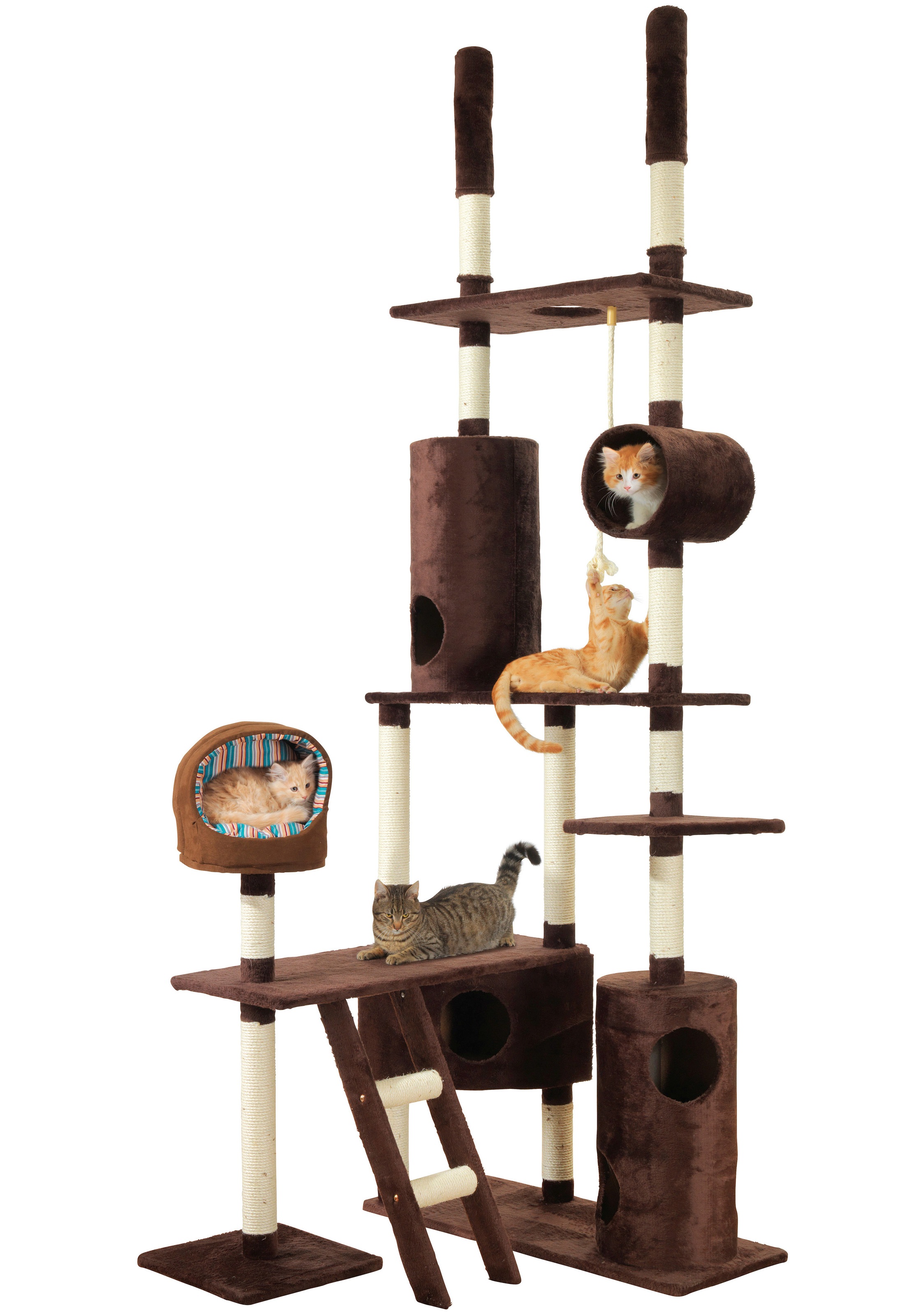 Bild von HEIM Kratzbaum »Wonderland«, hoch, BxTxH: 101x40x250-280 cm
