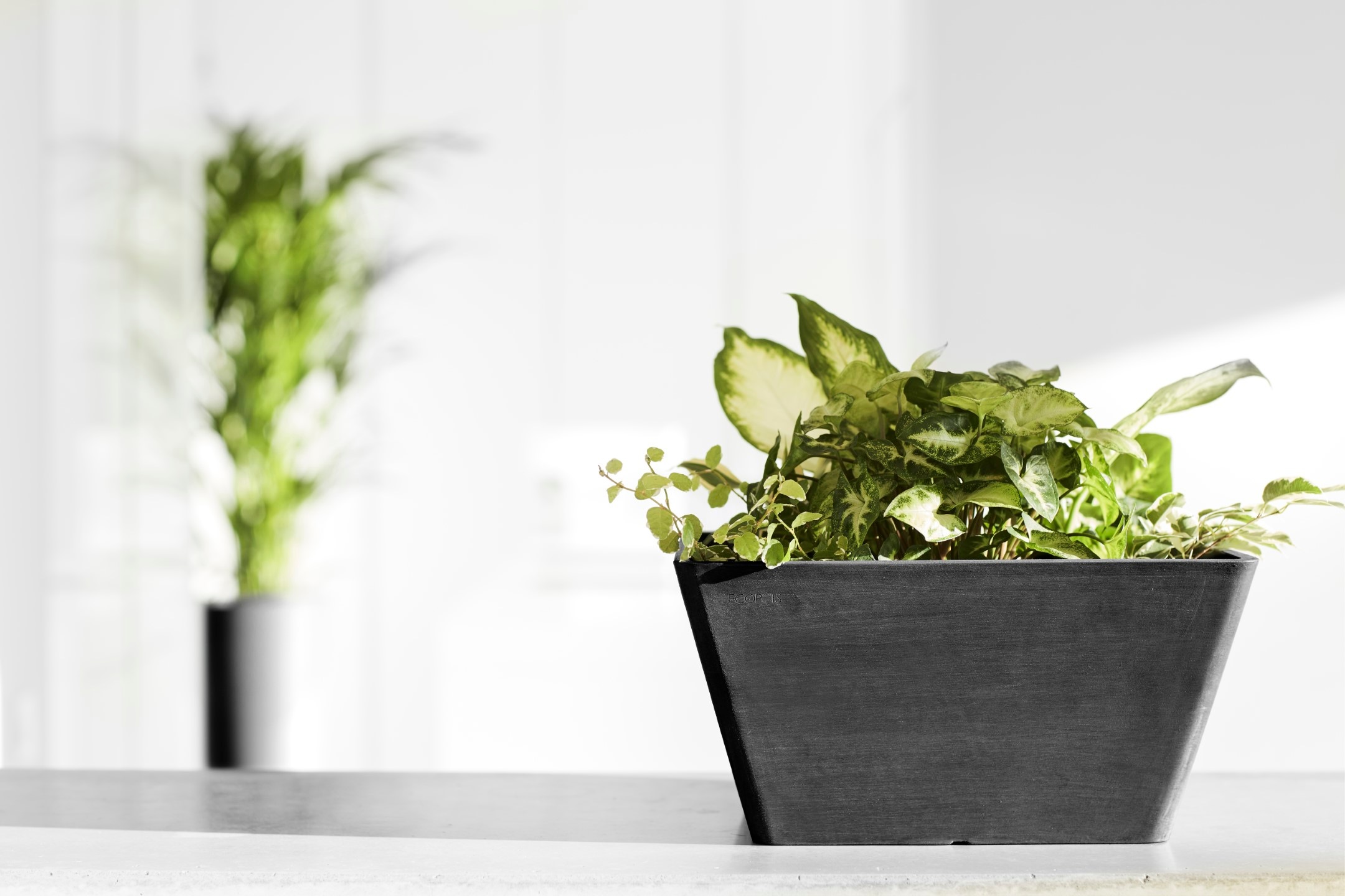 ECOPOTS Blumentopf »BERLIN Dark Grey« BxTxH: 31x31x15,5 cm