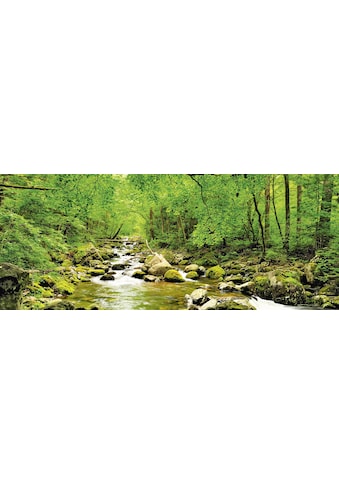 Home affaire Glasbild »tupikov: Herbstwald, Fluß Smolny«, 125/50 cm kaufen