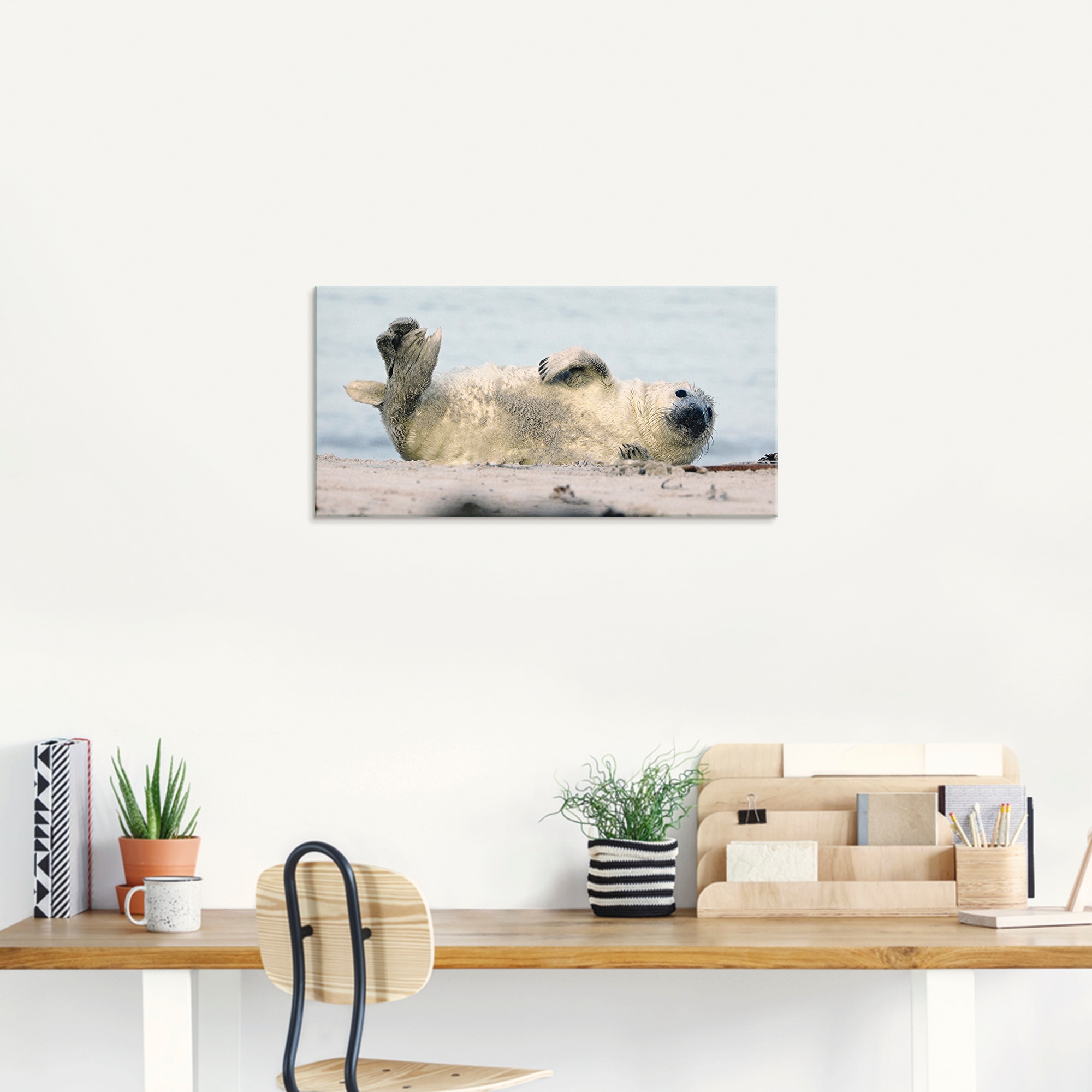 Artland Glasbild »Kegelrobben-Baby II«, Wassertiere, (1 St.), in verschiedenen Größen