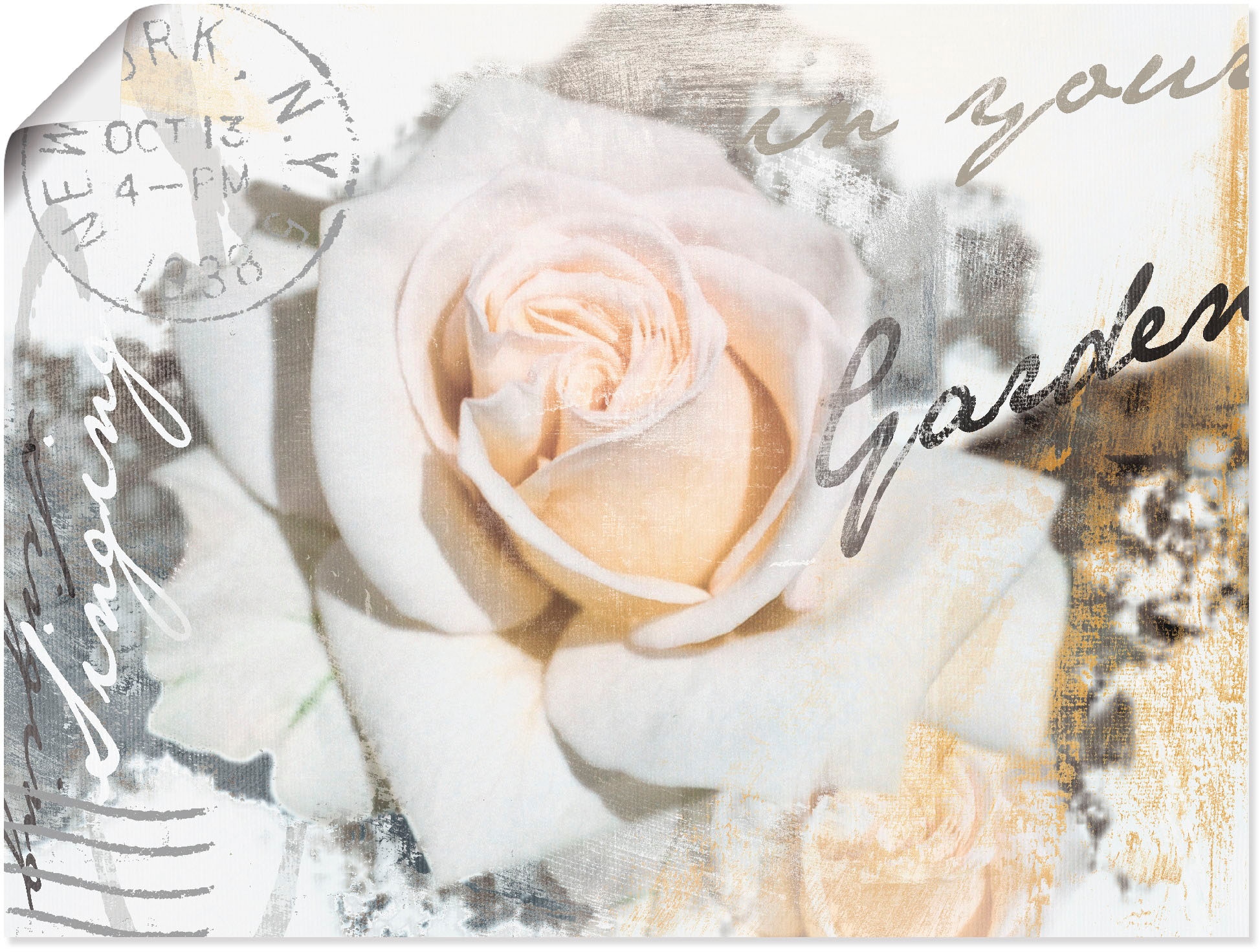 Artland Wandbild »In in als Rose«, versch. Blumen, oder Größen - St.), Buchstaben Wandaufkleber Alubild, online Leinwandbild, Poster (1 kaufen