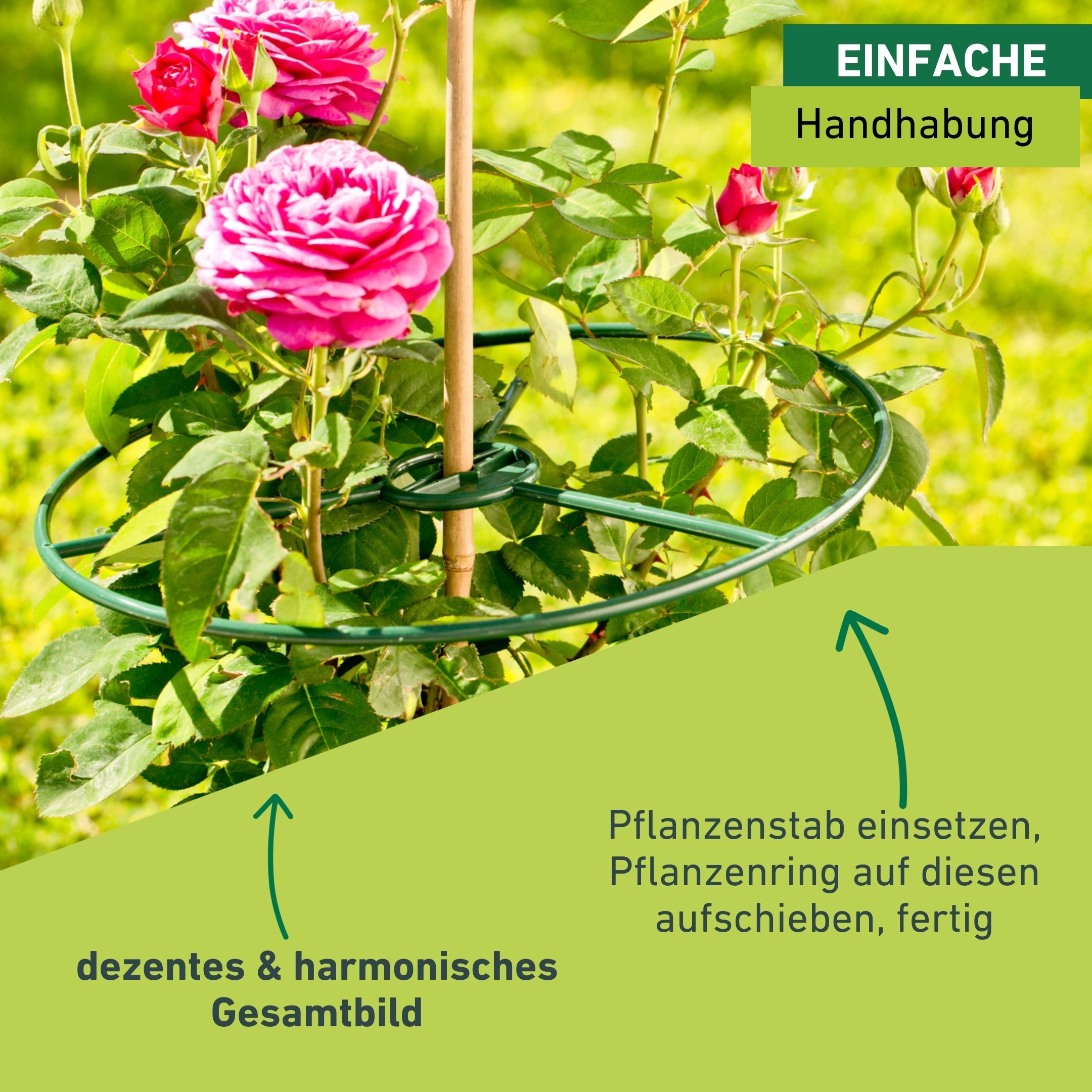 Windhager Rankhilfe »Pflanzenring STANDARD, Rankhilfe für Kletterpflanzen, Rankgitter« Pflanzenring 40 cm, 3 Stück, grün
