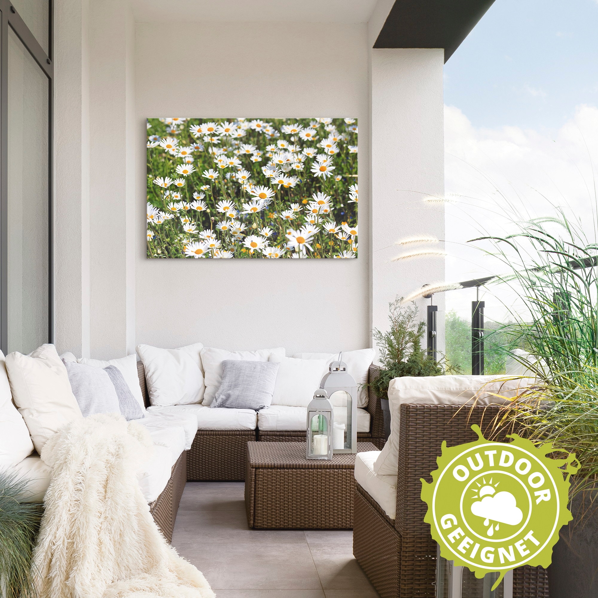 Artland Wandbild »Gänseblümchen«, Blumen, (1 St.), als Alubild, Outdoorbild, Leinwandbild in verschied. Größen