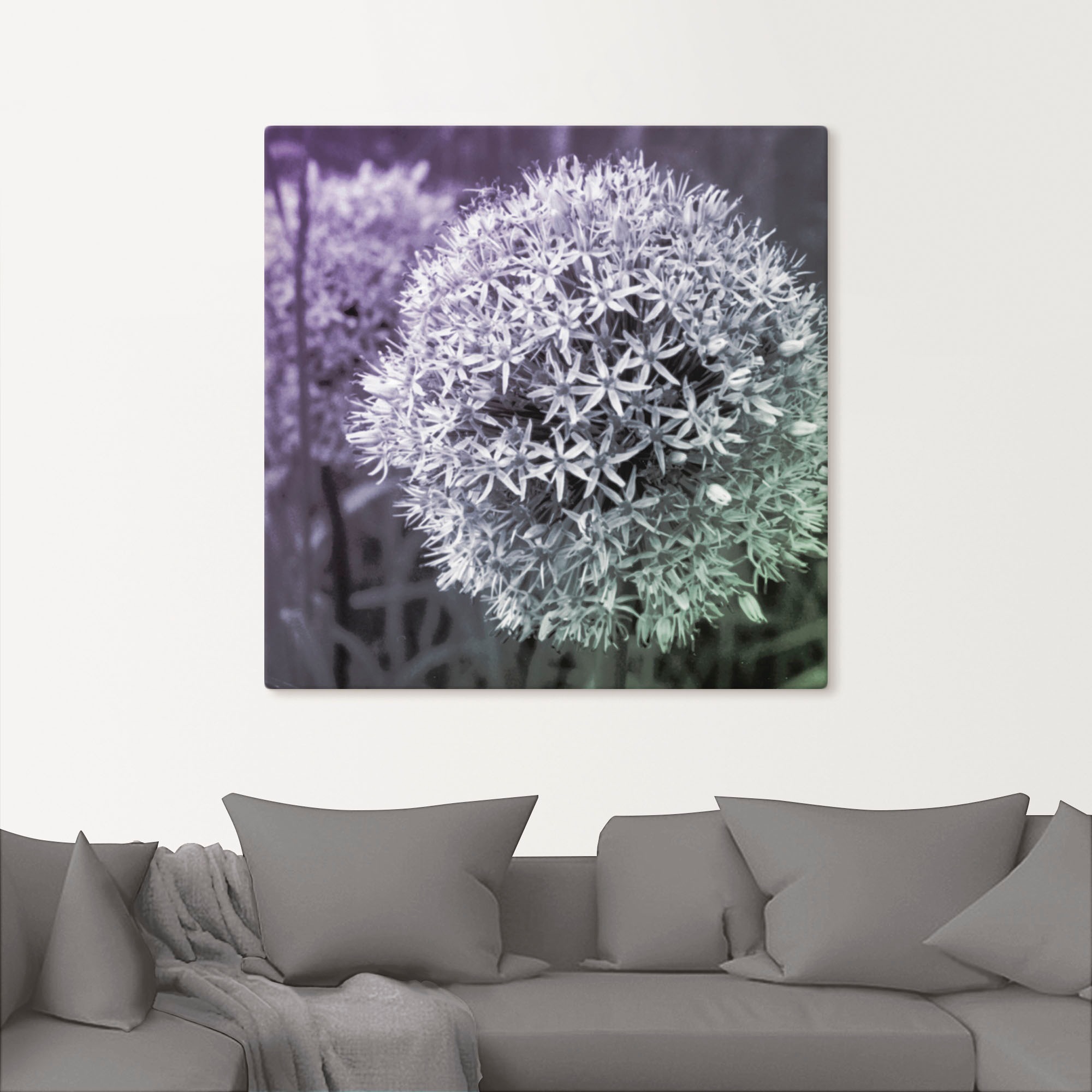 Artland Wandbild »Lila Sensation I«, Blumen, (1 St.), als Alubild, Outdoorb günstig online kaufen