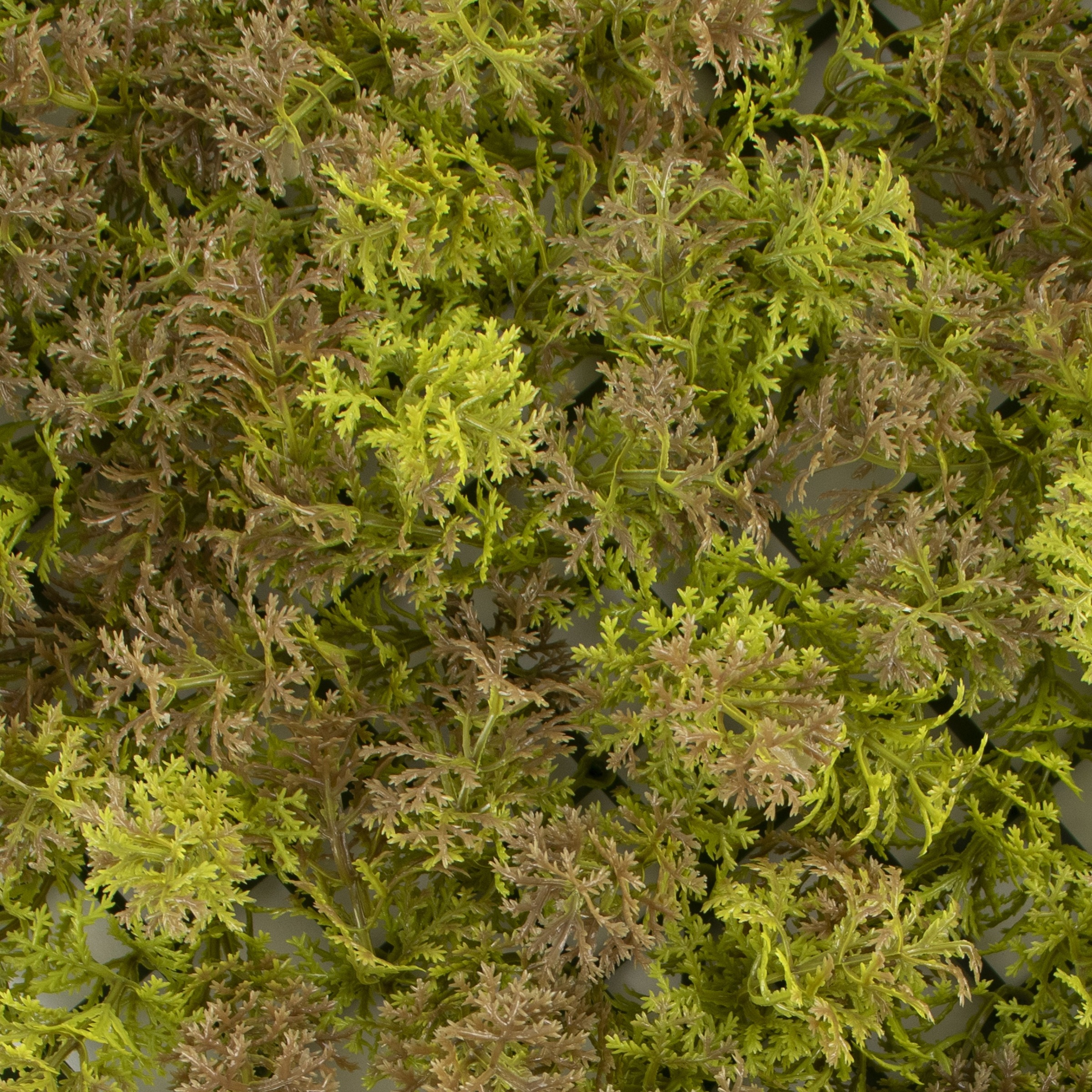 Primaflor-Ideen in Textil Kunstpflanze »Pflanzenwand, 50x50cm« Wanddeko, realistische Optik, In- und Outdoor geeignet, UV-beständig