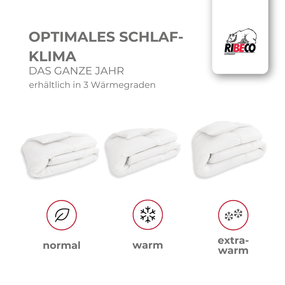 RIBECO Federbettdecke »Laram, Bettdecken für Sommer oder Winter, Made in Germany«, extrawarm, Füllung 90% Federn, 10% Daunen, Bezug Baumwolle, (1 St.), Super Preis-Leistung, Bettdecke 135x200 cm oder 155x220 cm, Decke