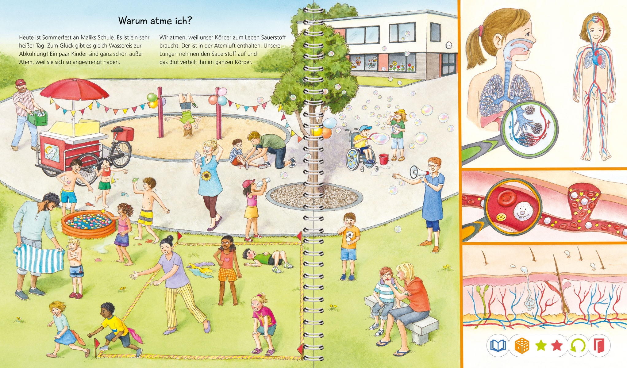 Ravensburger Buch »tiptoi® Wieso? Weshalb? Warum? Alles über den Körper«, Made in Europe
