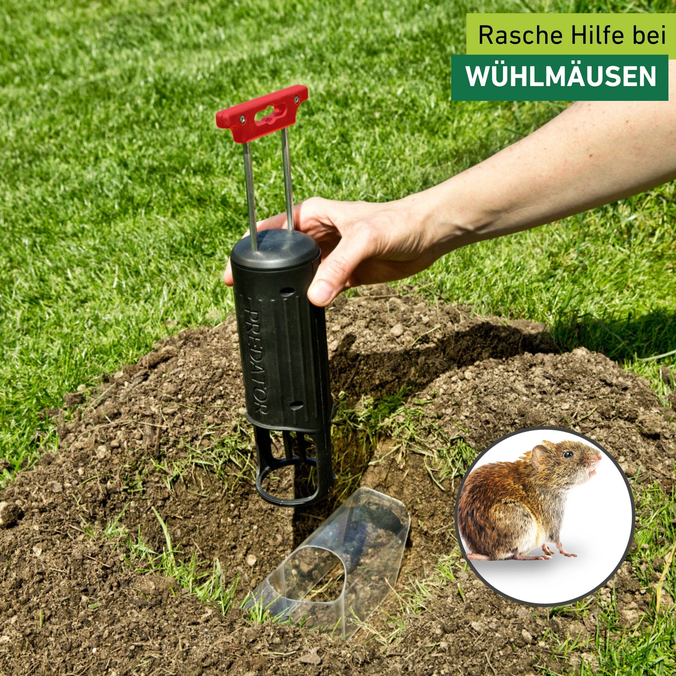 Windhager Schlagfalle »Wühlmausfalle Predator, wiederverwendbare Lebendfalle« Wühlmausbekämpfung robust und langlebig, schwarz