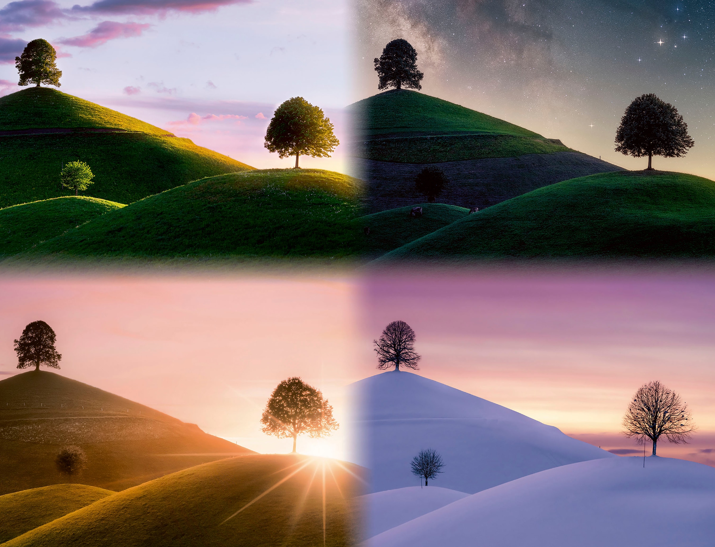 Ravensburger Puzzle »Stimmungsvolle Bäume und Berge« Made in Germany