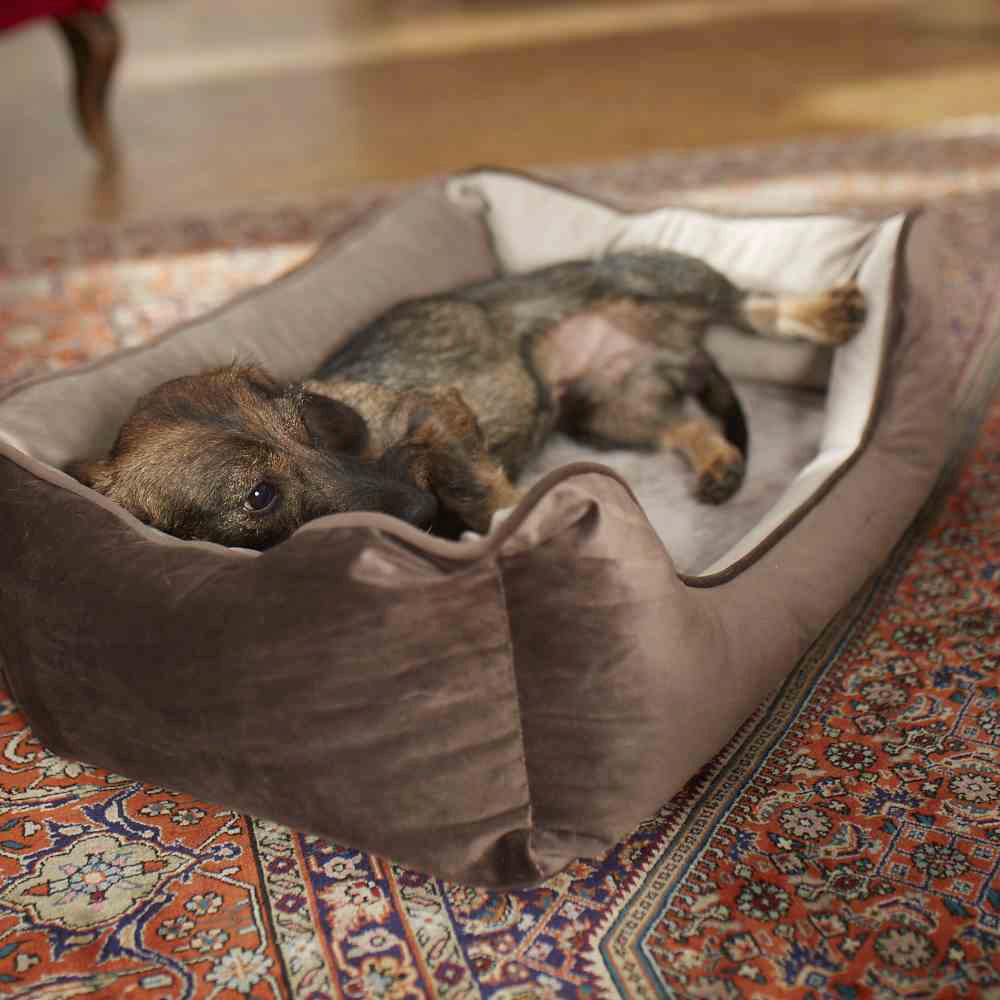 7. Bild von Siena Home Tierkorb »Lupus«