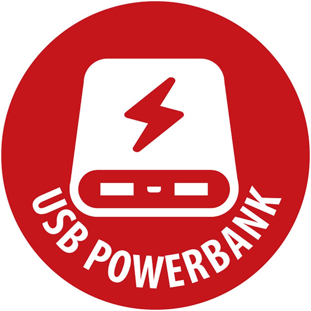 Brennenstuhl LED Solarleuchte »Akku Solar LED Outdoor OLI 400 AS 450lm IP54«