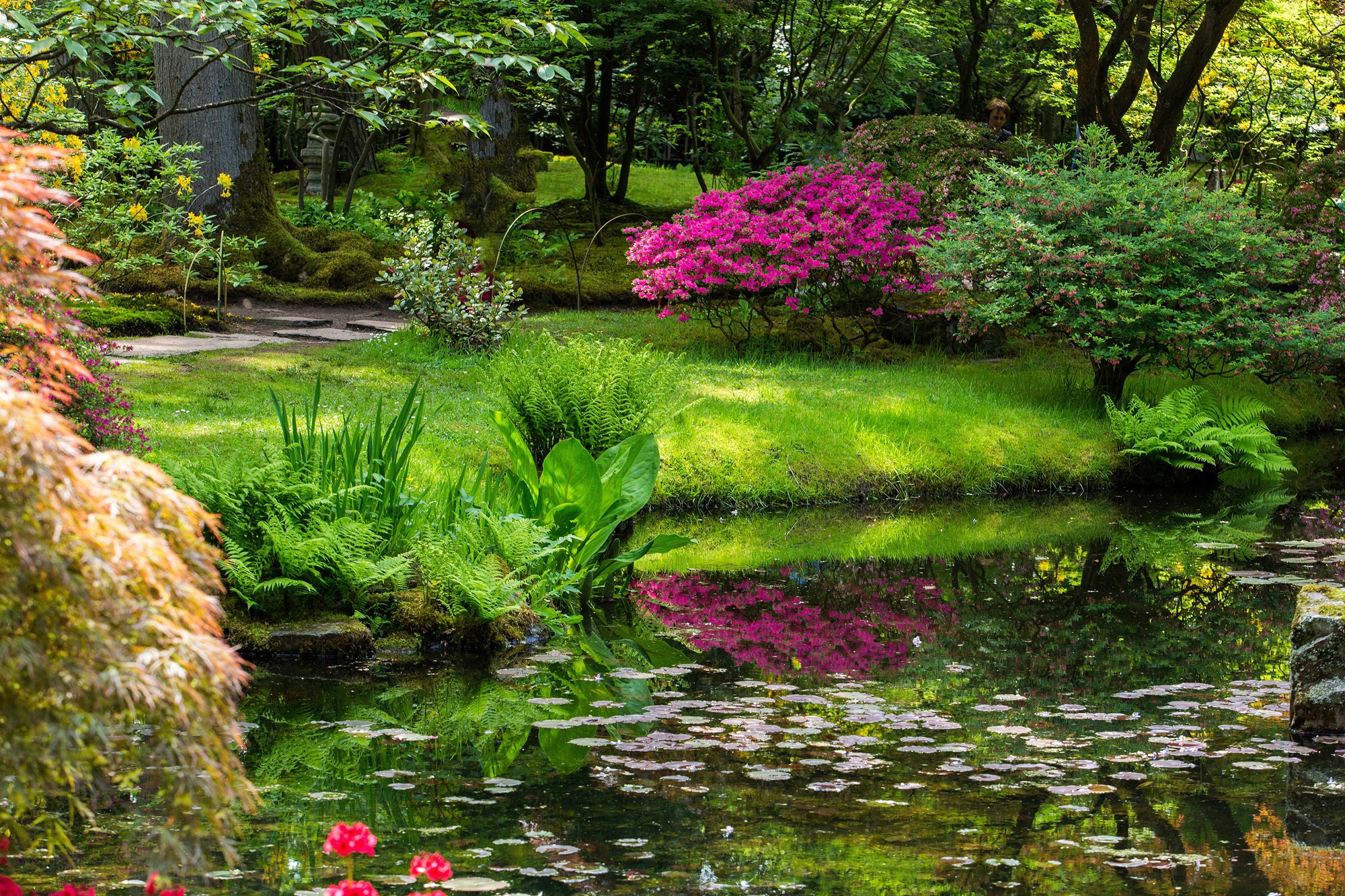 Papermoon Fototapete »GARTEN-BLUMEN BÄUME PFLANZEN STEINE WALD PARK BLÜTEN« günstig online kaufen