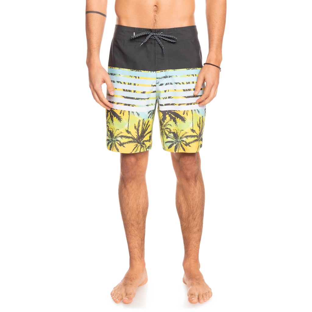 Quiksilver Boardshorts »Everyday Sion 18"«