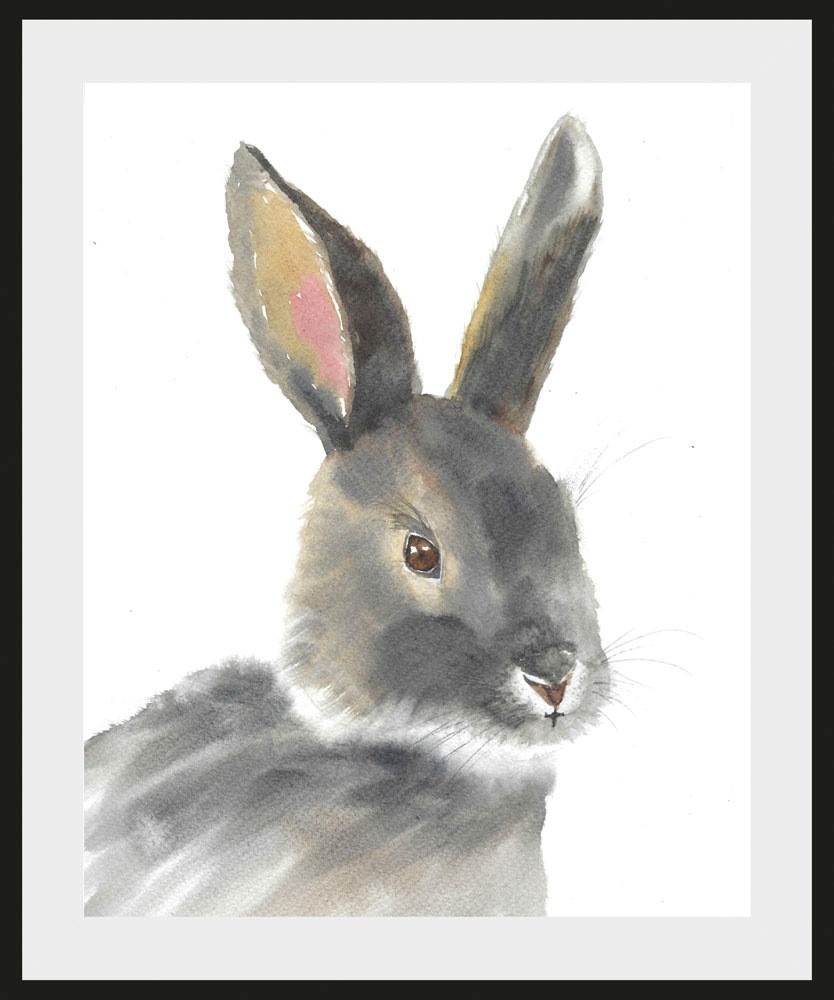 queence Bild »Alexo«, Hase-Hasen-Haustiere-Kunst, (1 St.), mit Rahmen, schw günstig online kaufen