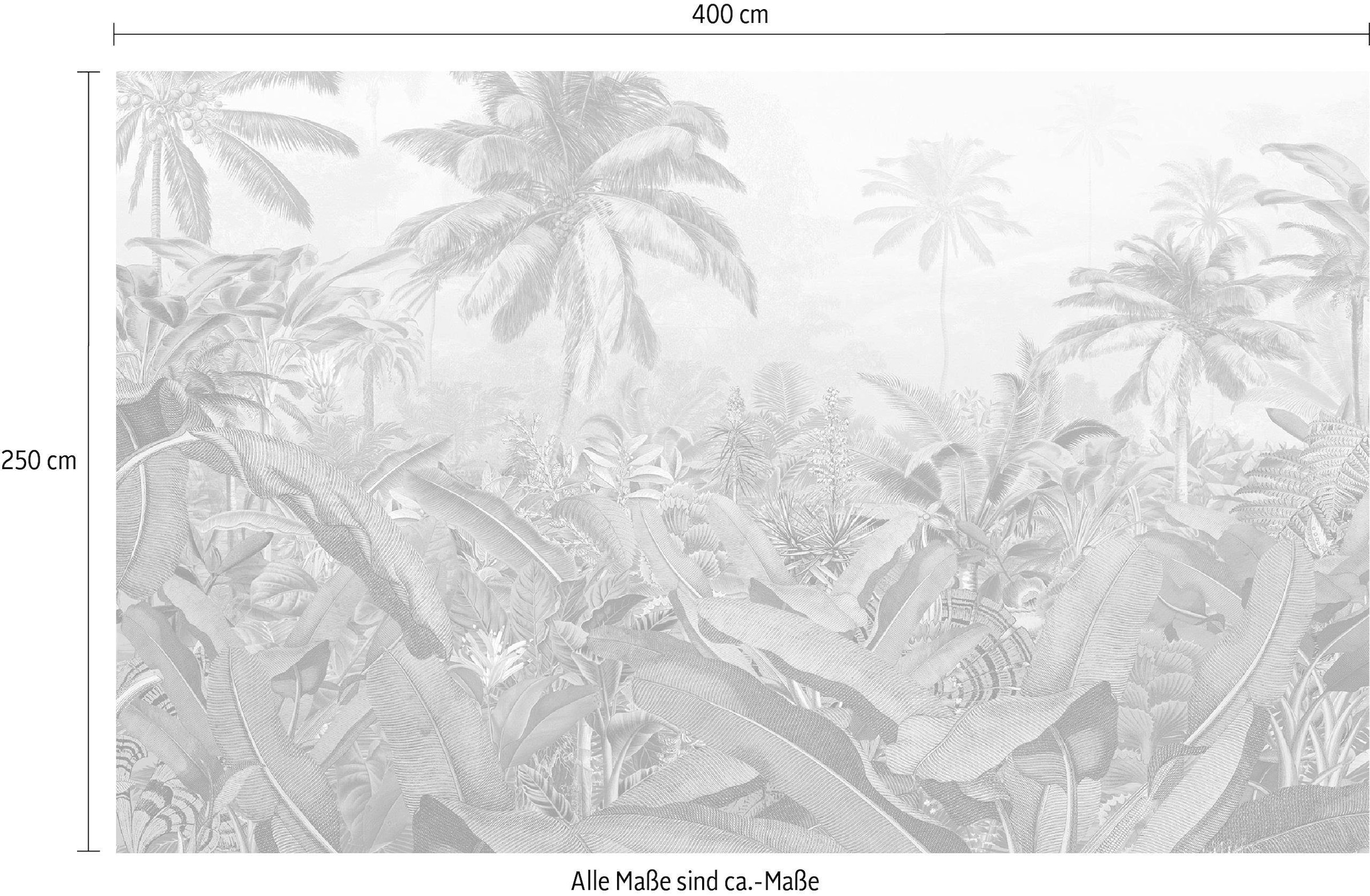 Komar Vliestapete »Digitaldruck Vlies - Amazonia Black & White - Größe 400 x 250 cm«, bedruckt, Wohnzimmer, Schlafzimmer