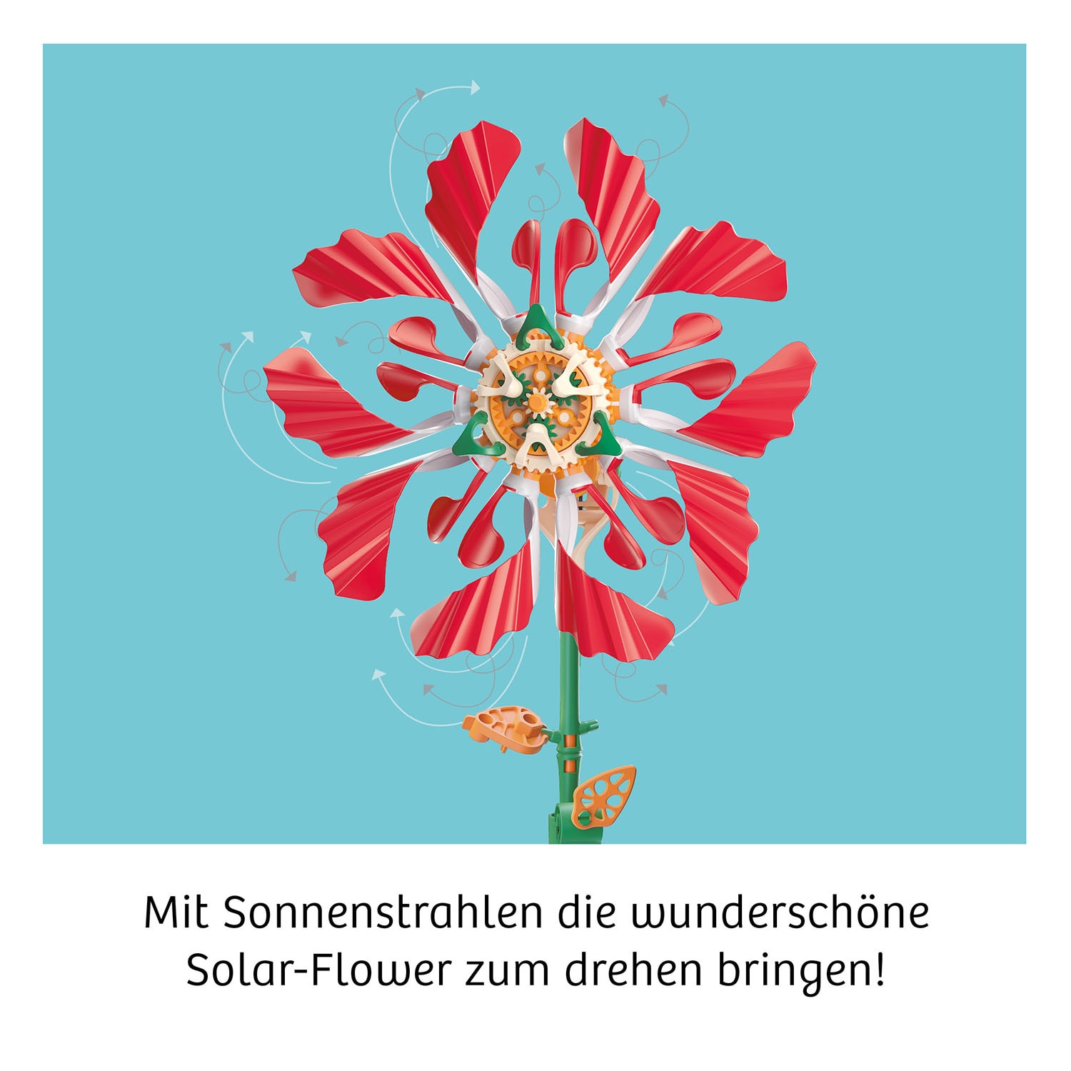 Kosmos Experimentierkasten »Solar-Flower«