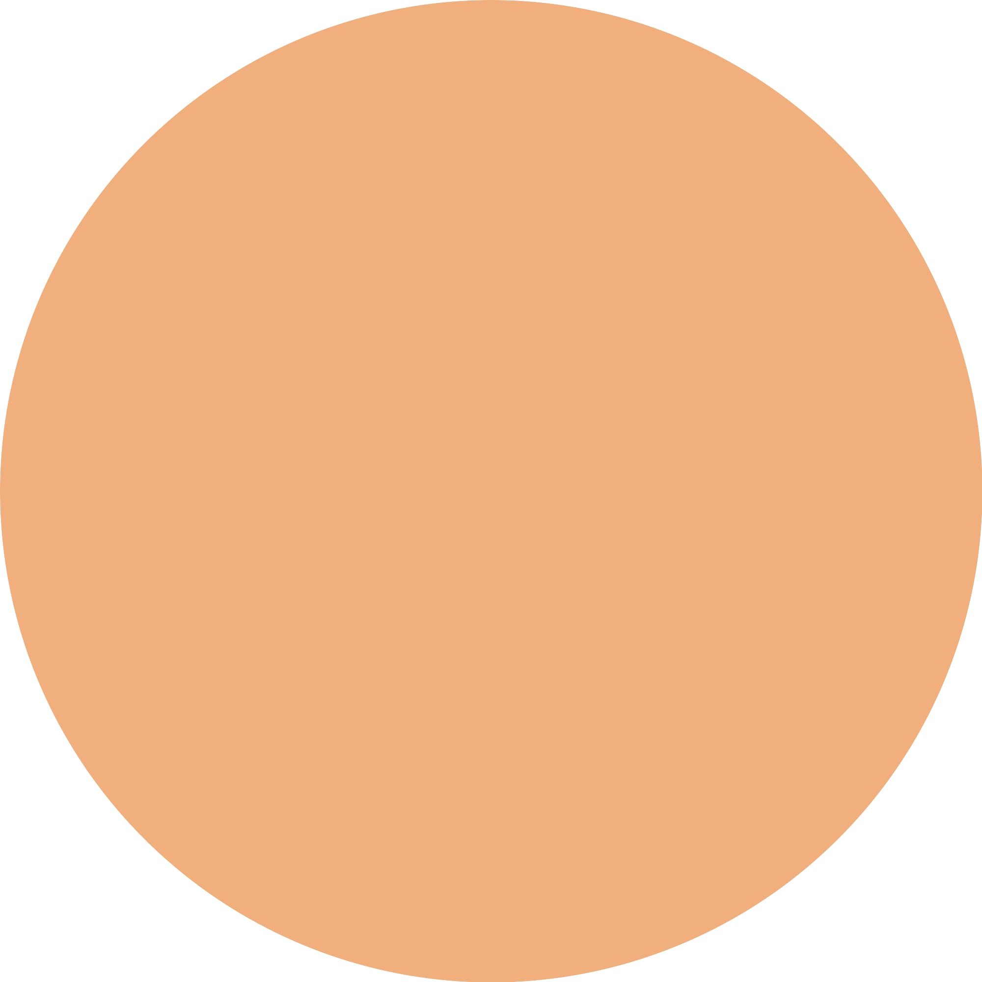 Essence Highlighter »aloha, babes! flower highlighter«, (Set, 4 tlg.), Strahlender Glow mit Roségold-Highlighter für jeden Look.