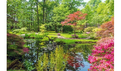 Fototapete »GARTEN-BLUMEN BÄUME PFLANZEN STEINE WALD PARK BLÜTEN«