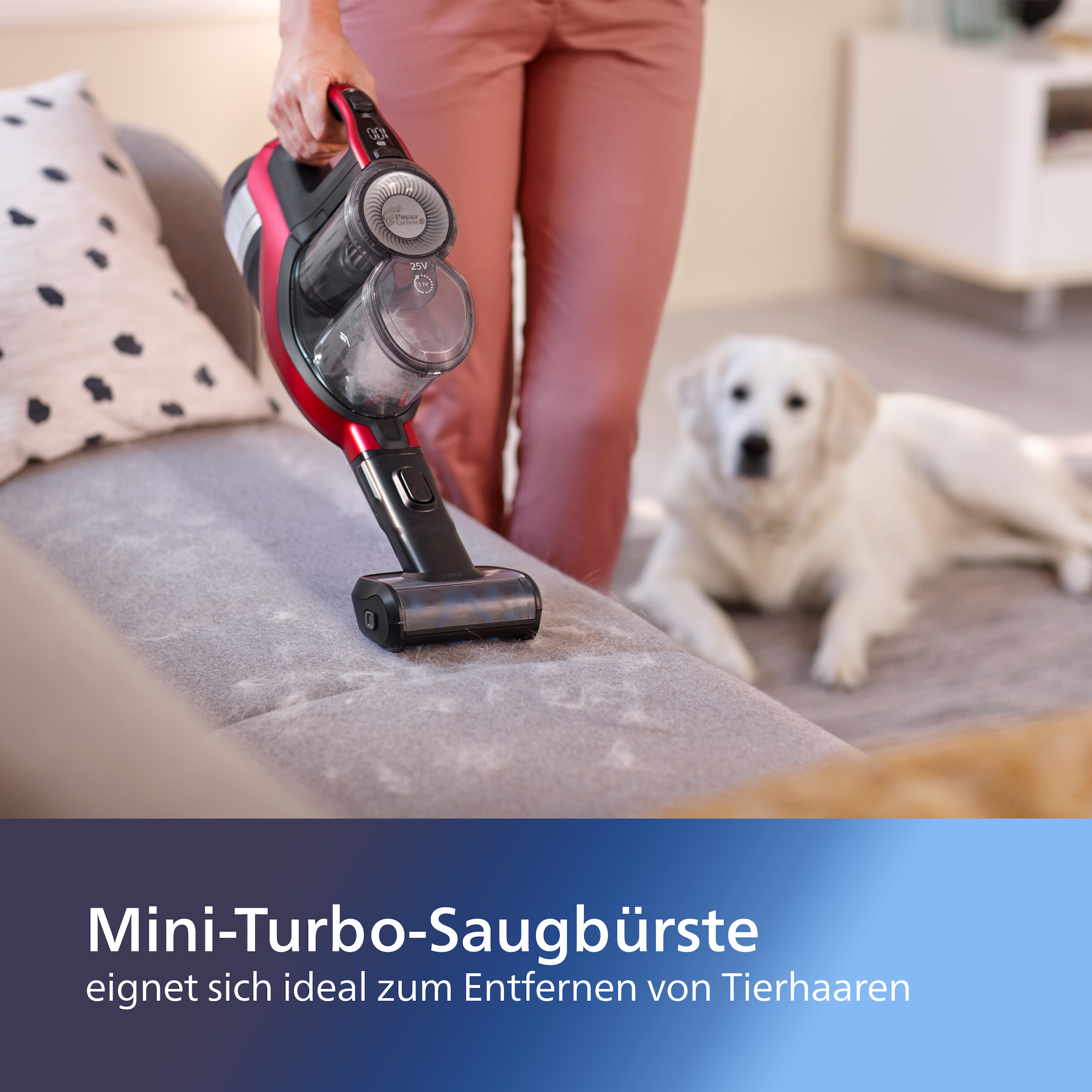 Philips Mini-Turbobürste »XV1684/01 Cordless VC 7000 & 8000 Series«, (1 tlg.), mit motorisierter rotierender Bürste, zum Entfernen von Tierhaaren
