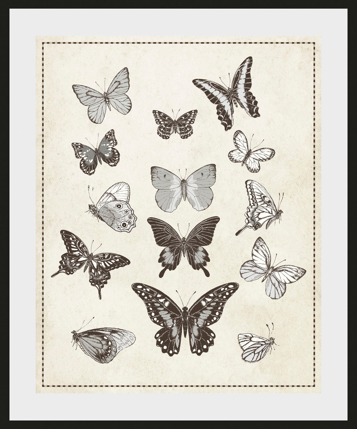 queence Bild »Pamela«, Schmetterlinge-Kunst-Insekten-historische Ereignisse günstig online kaufen