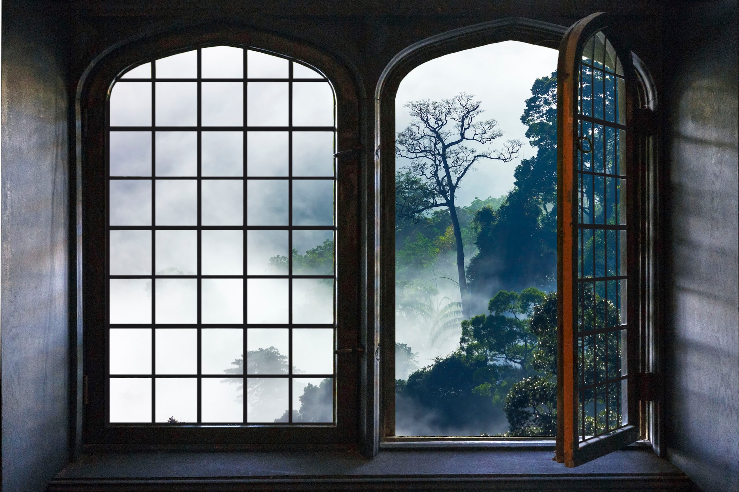 queence Wandsticker »Urwald«, Wandsticker, Wandbild, selbstklebend, 3D, Fenster