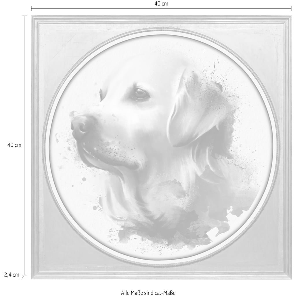 queence Acrylglasbild »Hund«