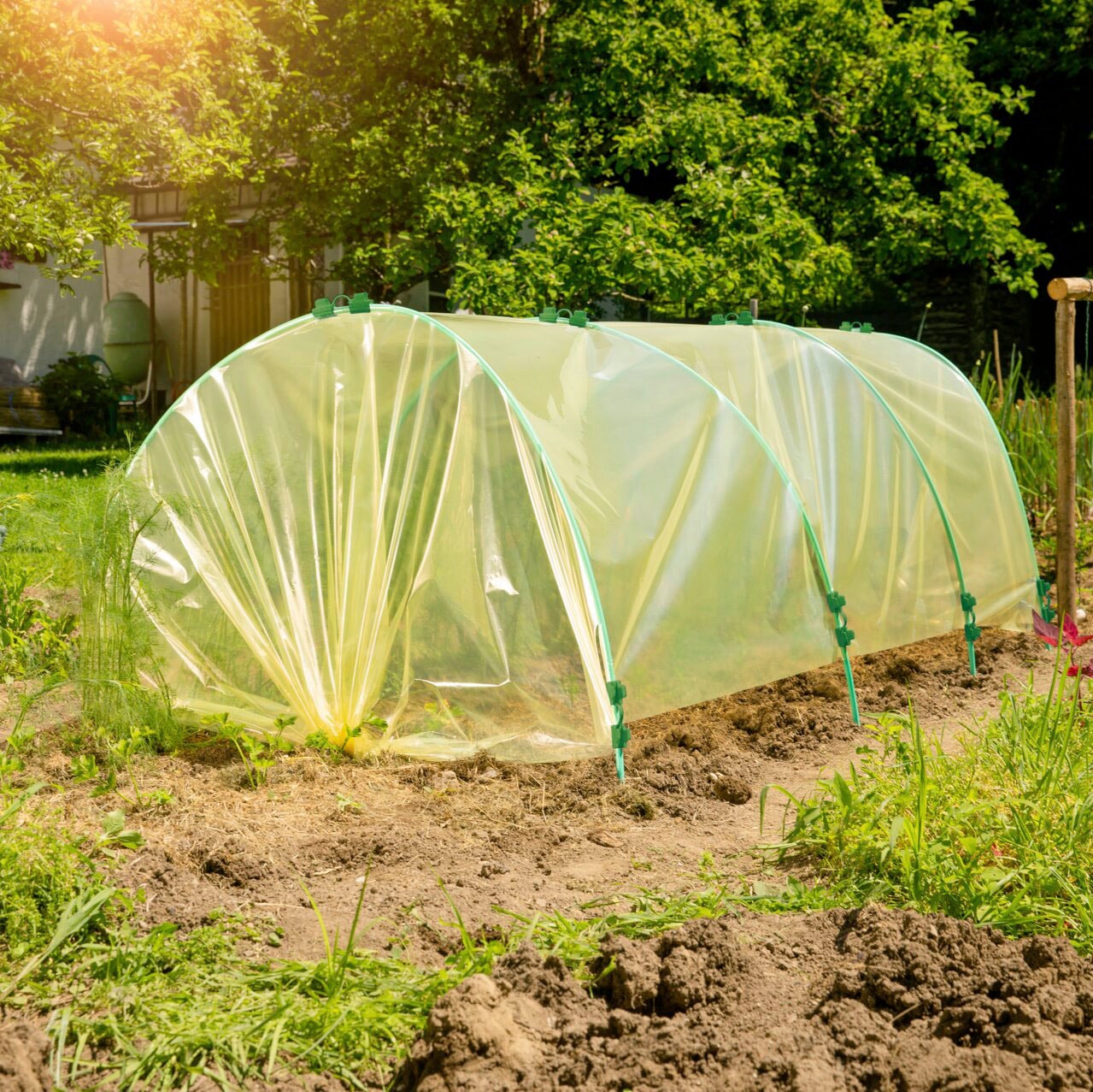 Windhager Schutzplane Wachstumsfolie, gelb, 2x5 m