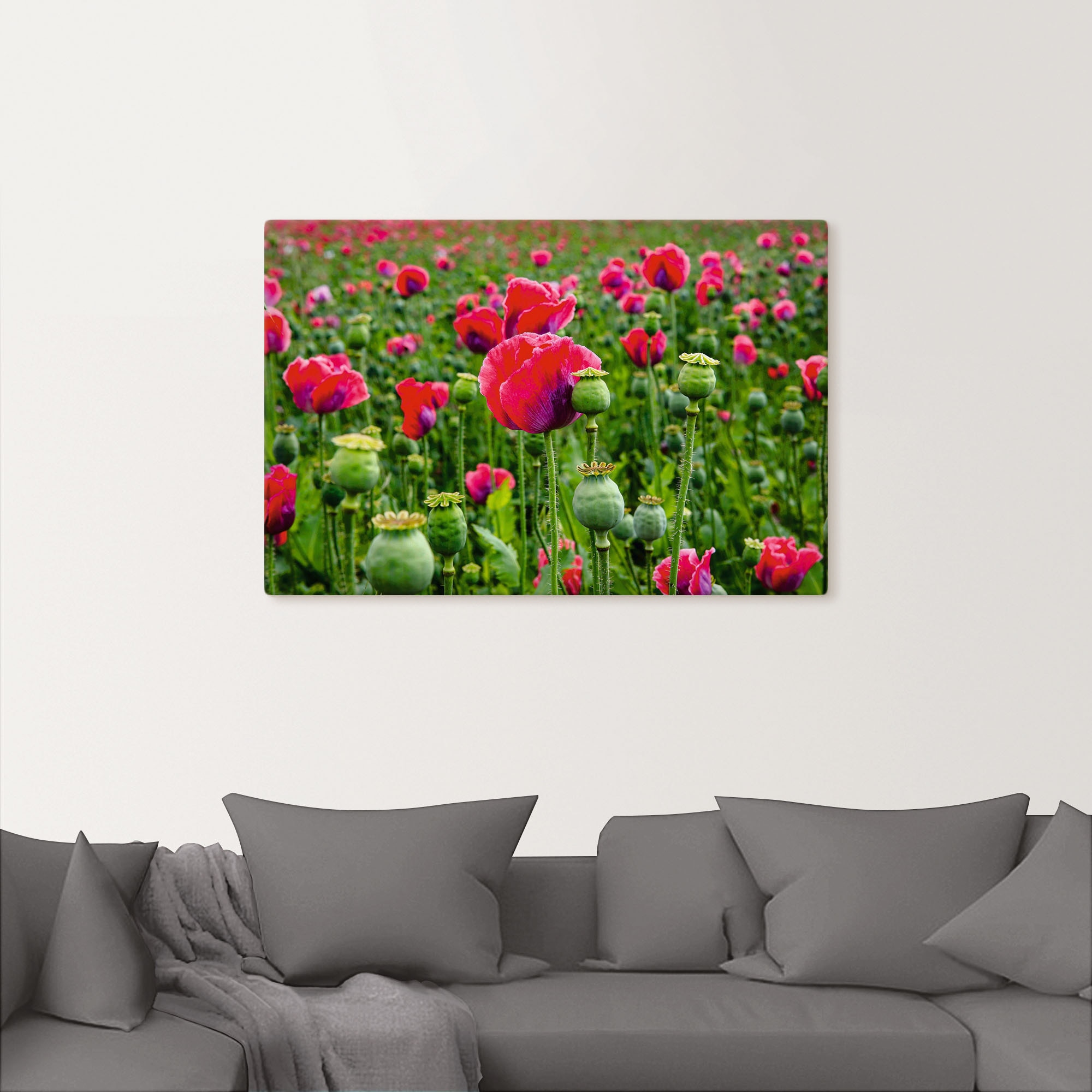 Artland Leinwandbild "Mohnblumen Nahaufnahme", Blumenwiese, (1 St.), auf Ke günstig online kaufen