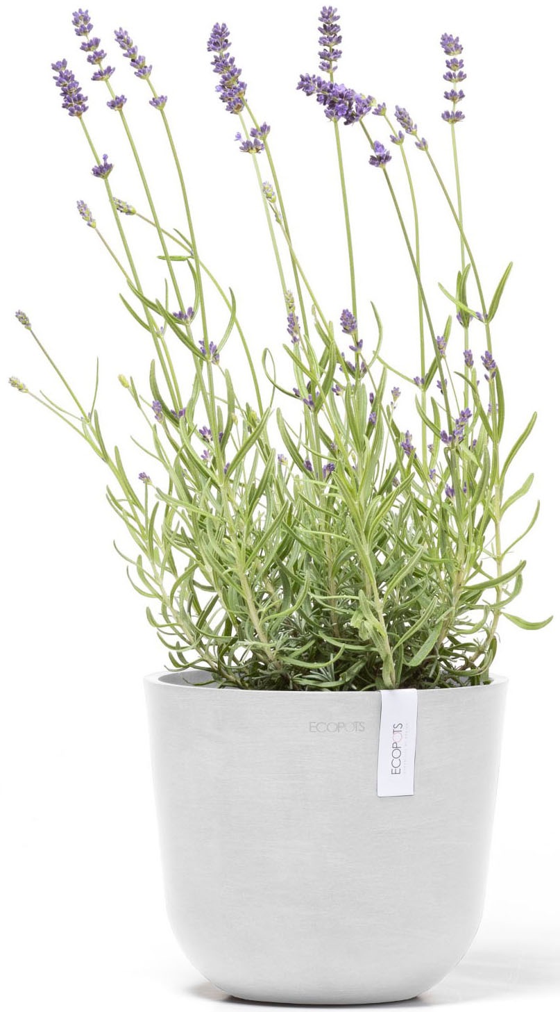 ECOPOTS Blumentopf »Oslo Mini 19 Weiß« für den Innenbereich