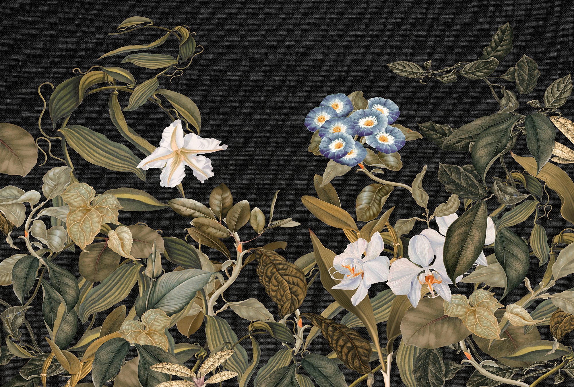 Architects Paper Fototapete »Atelier 47 Botanic Sketch 1« floral glatt Vlie günstig online kaufen