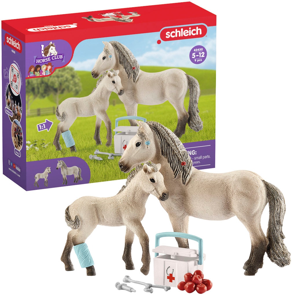 Schleich® Spielwelt »HORSE CLUB Set: Pferdekoppel mit Eingangstor & Hannahs Erste-Hilfe-Set«, (72242) bestehend aus (42430 + 42434)