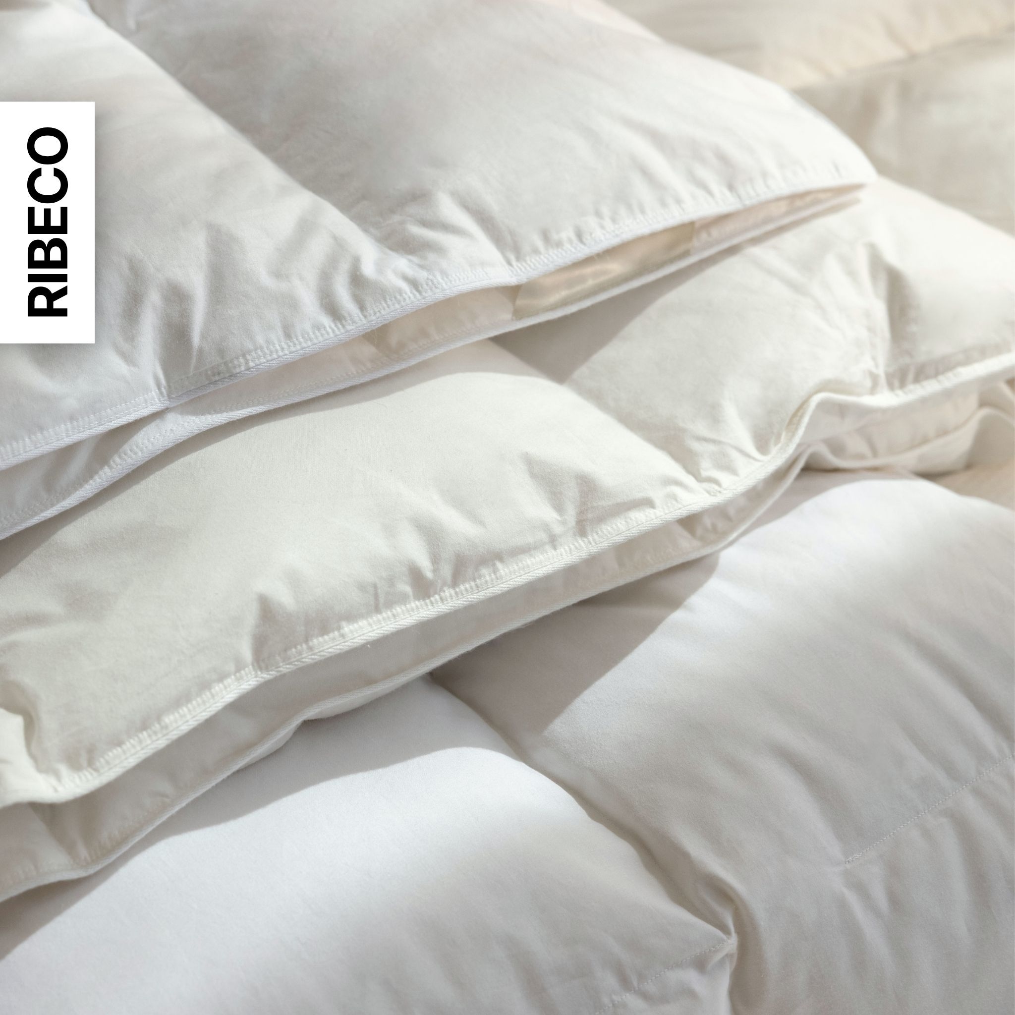 RIBECO Federbettdecke »Laram, Bettdecken für Sommer oder Winter, Made in Germany« leicht Füllung 90 % Federn, 10 % Daunen 1 Stk. tlg. Super Preis-Leistung, Bettdecke 135x200 cm oder 155x220 cm, Decke