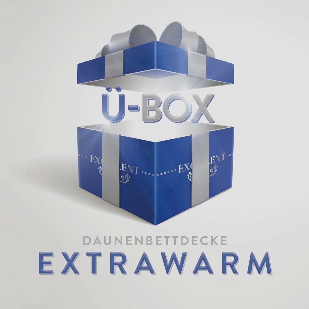 Excellent Daunenbettdecke »Überraschungsbox«, extrawarm, Füllung 90% Daunen günstig online kaufen