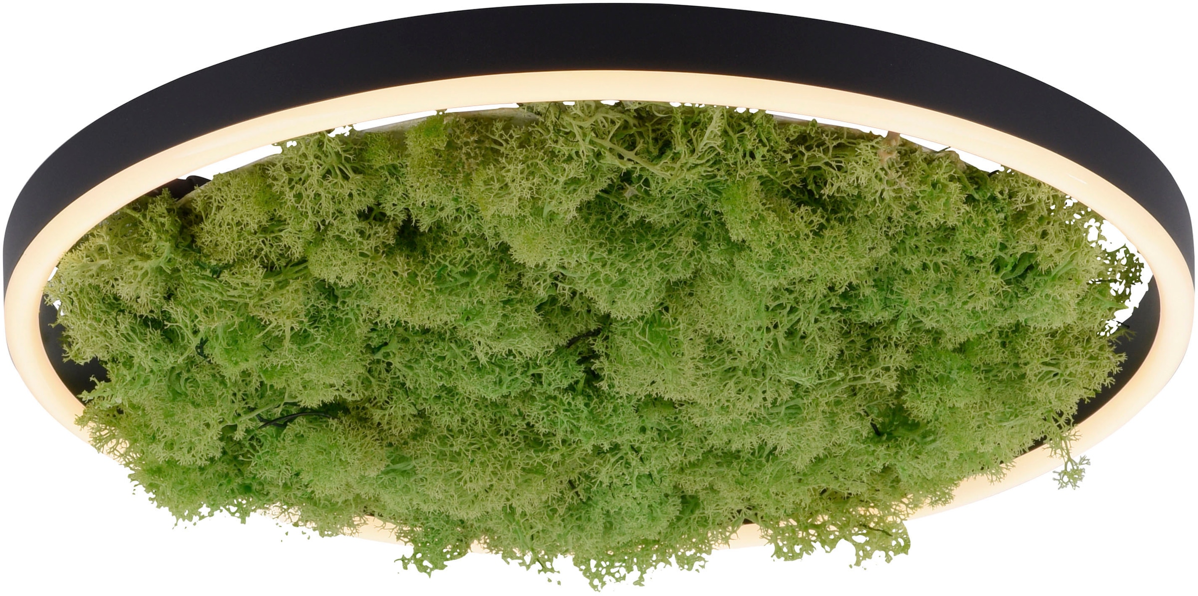 JUST LIGHT Deckenleuchte »GREEN RITU«, 1 flammig, Leuchtmittel LED-Board | LED fest integriert